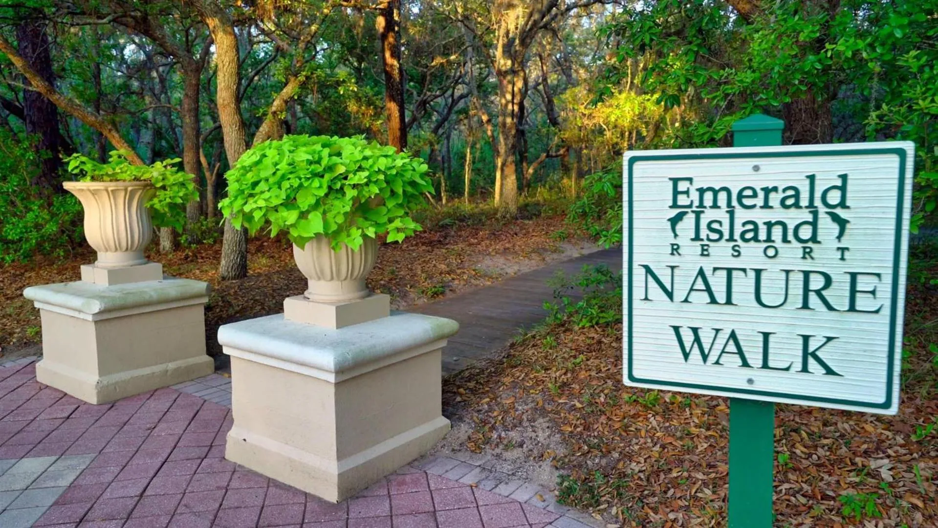 Natural landscape in 8569 Crystal Cove