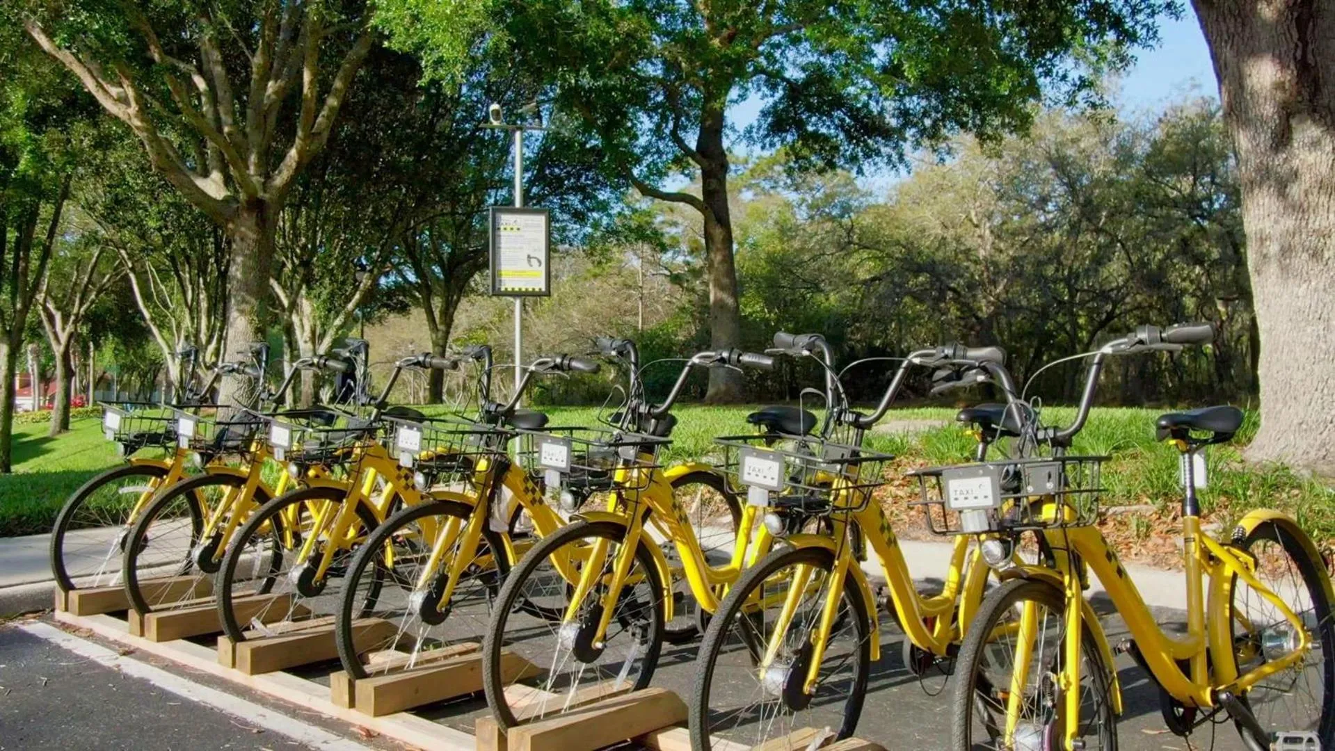 Cycling in 8569 Crystal Cove