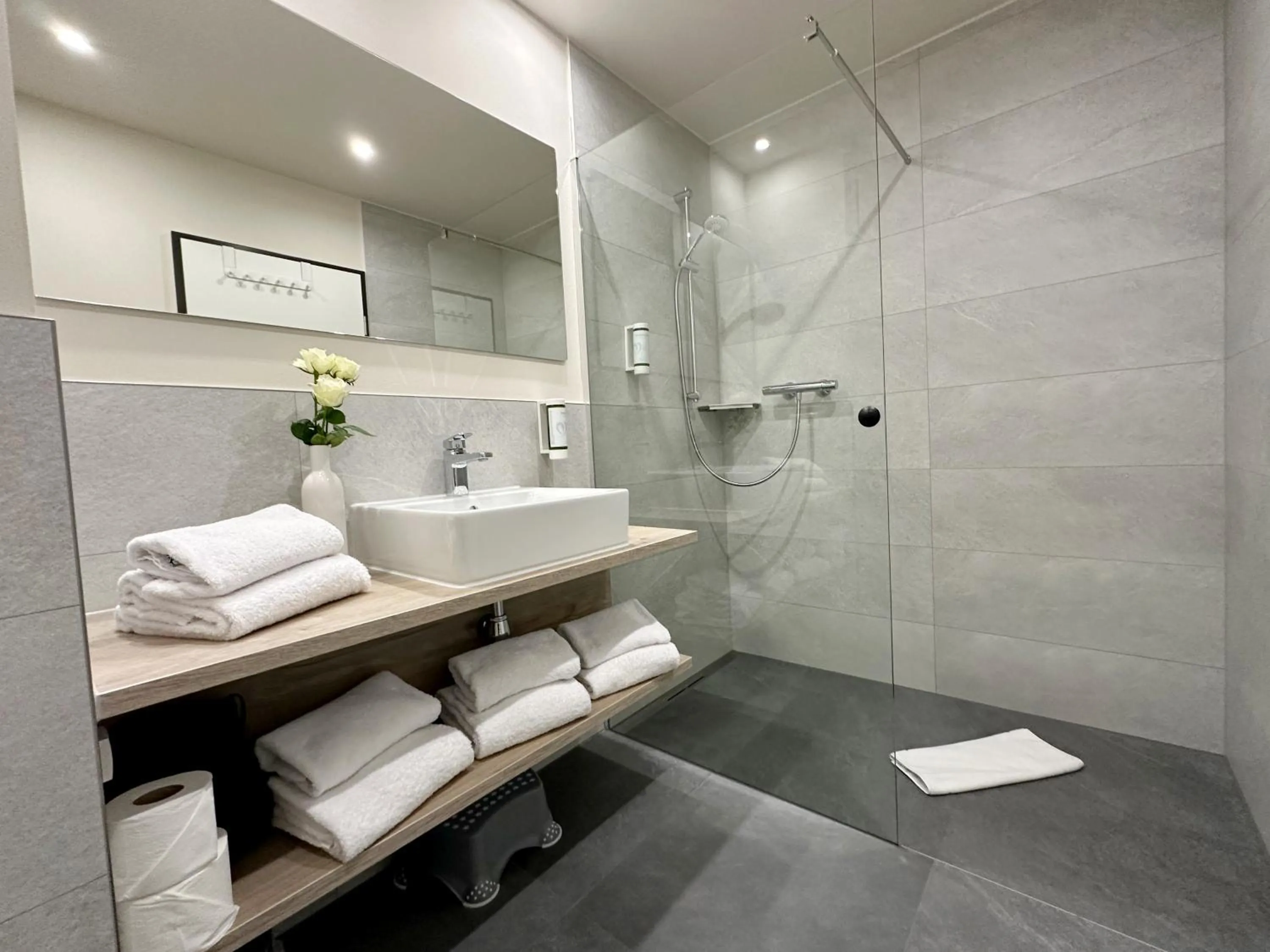 Shower in DiMas Hotel Ettenheim - Rust