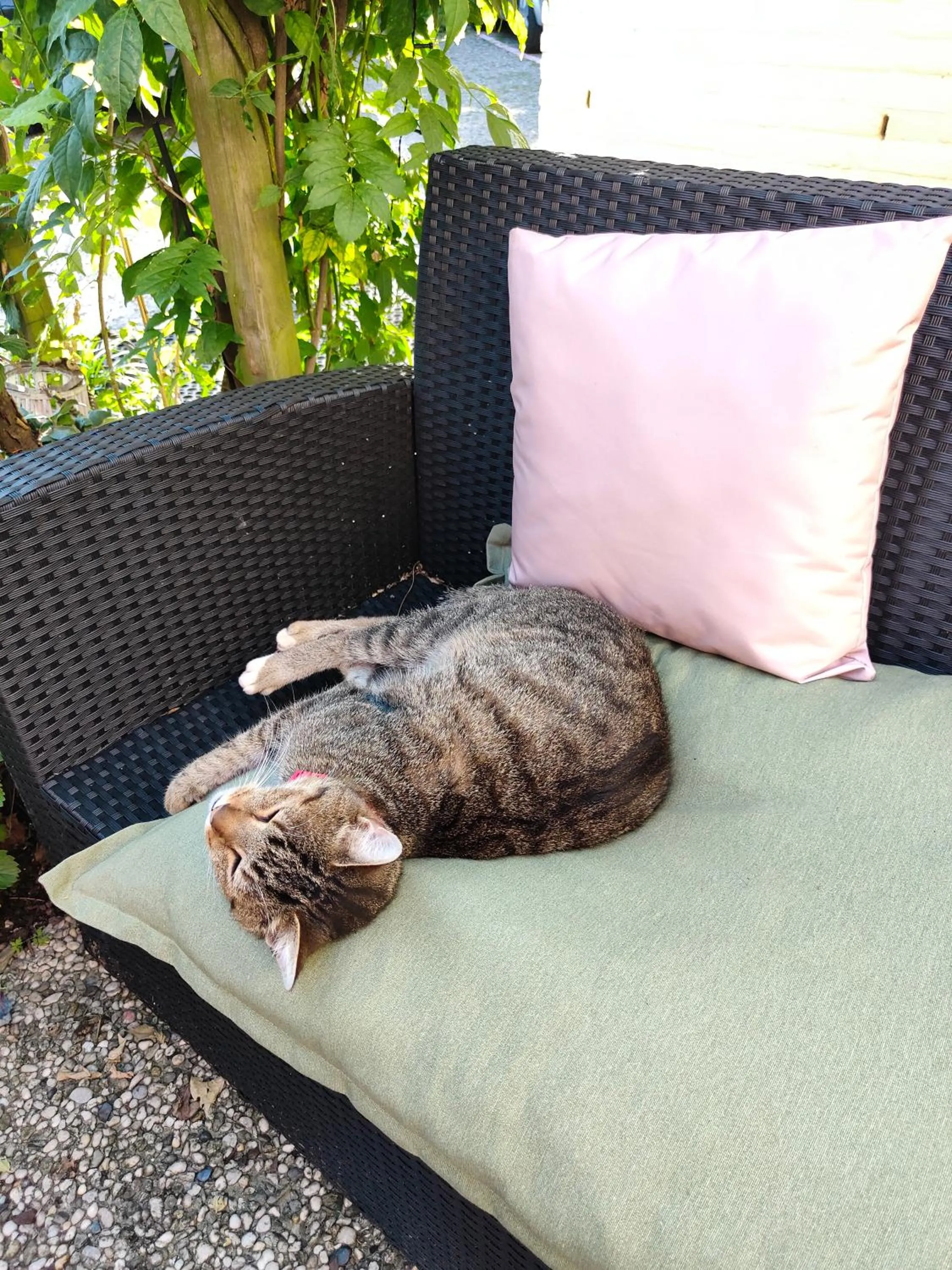 Hotel B&B LeLa