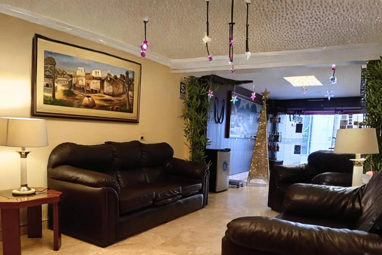 Communal lounge/ TV room in Copacabana Hotel