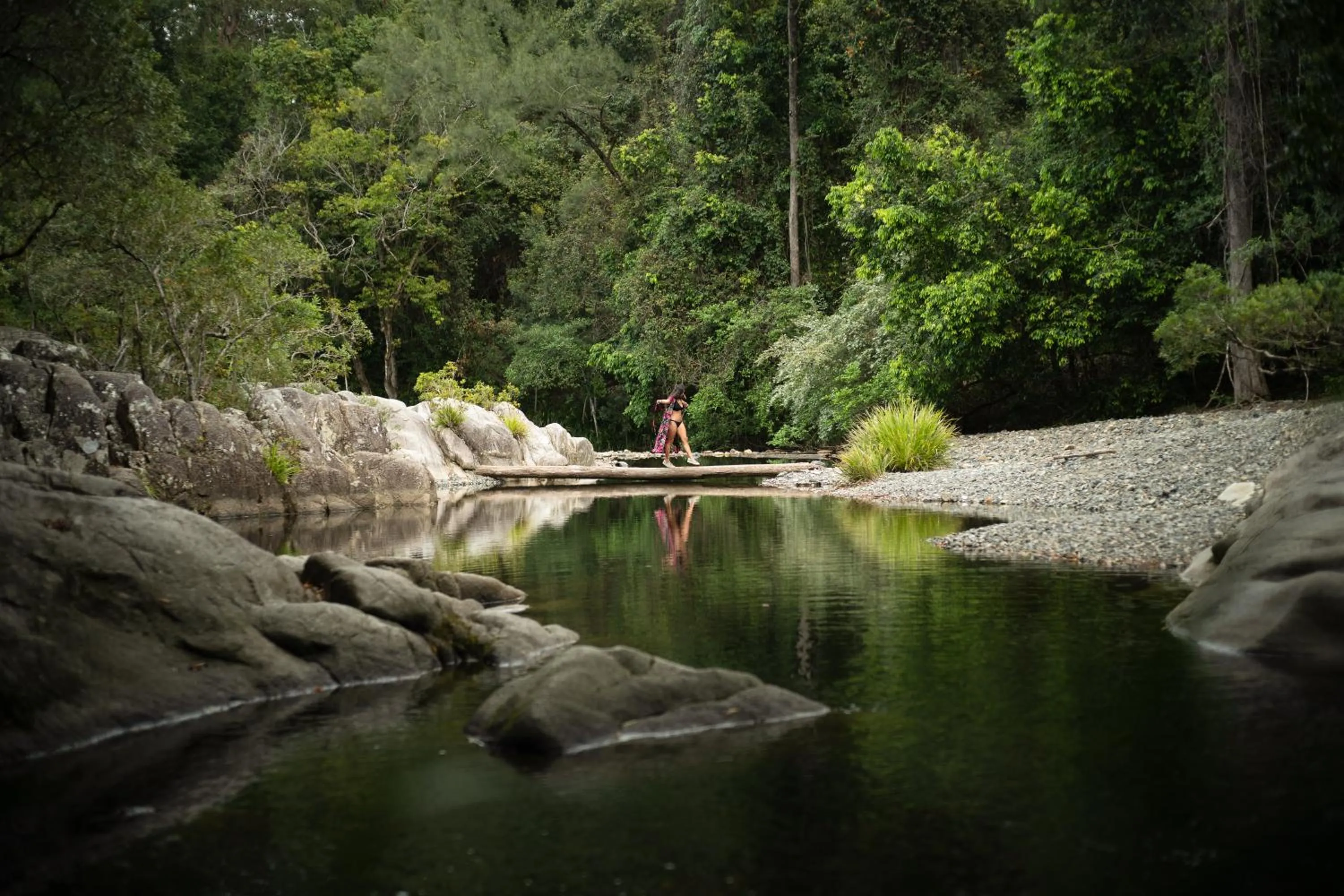 Natural landscape in Bellingen Belfry Guesthouse