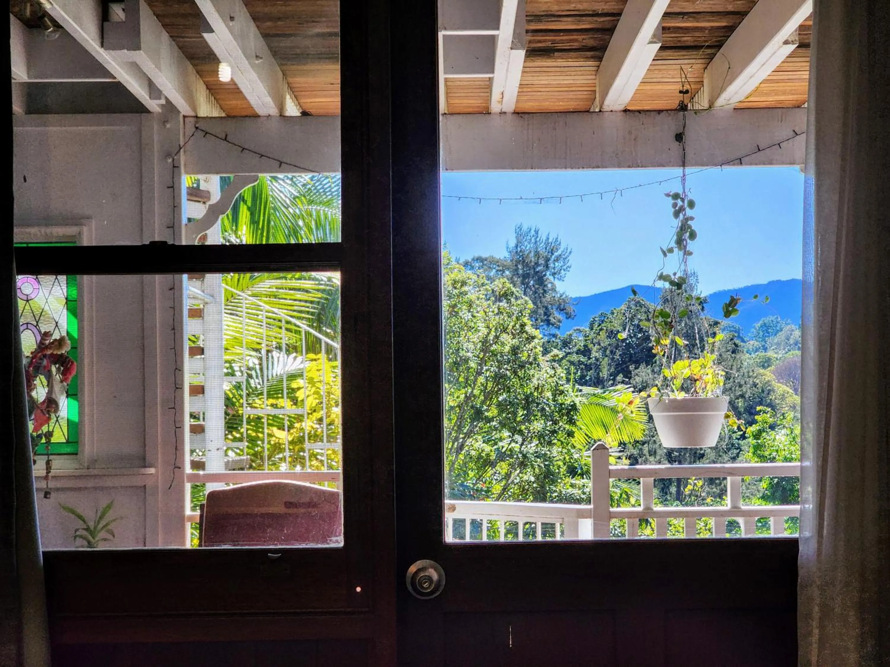 View (from property/room) in Bellingen Belfry Guesthouse