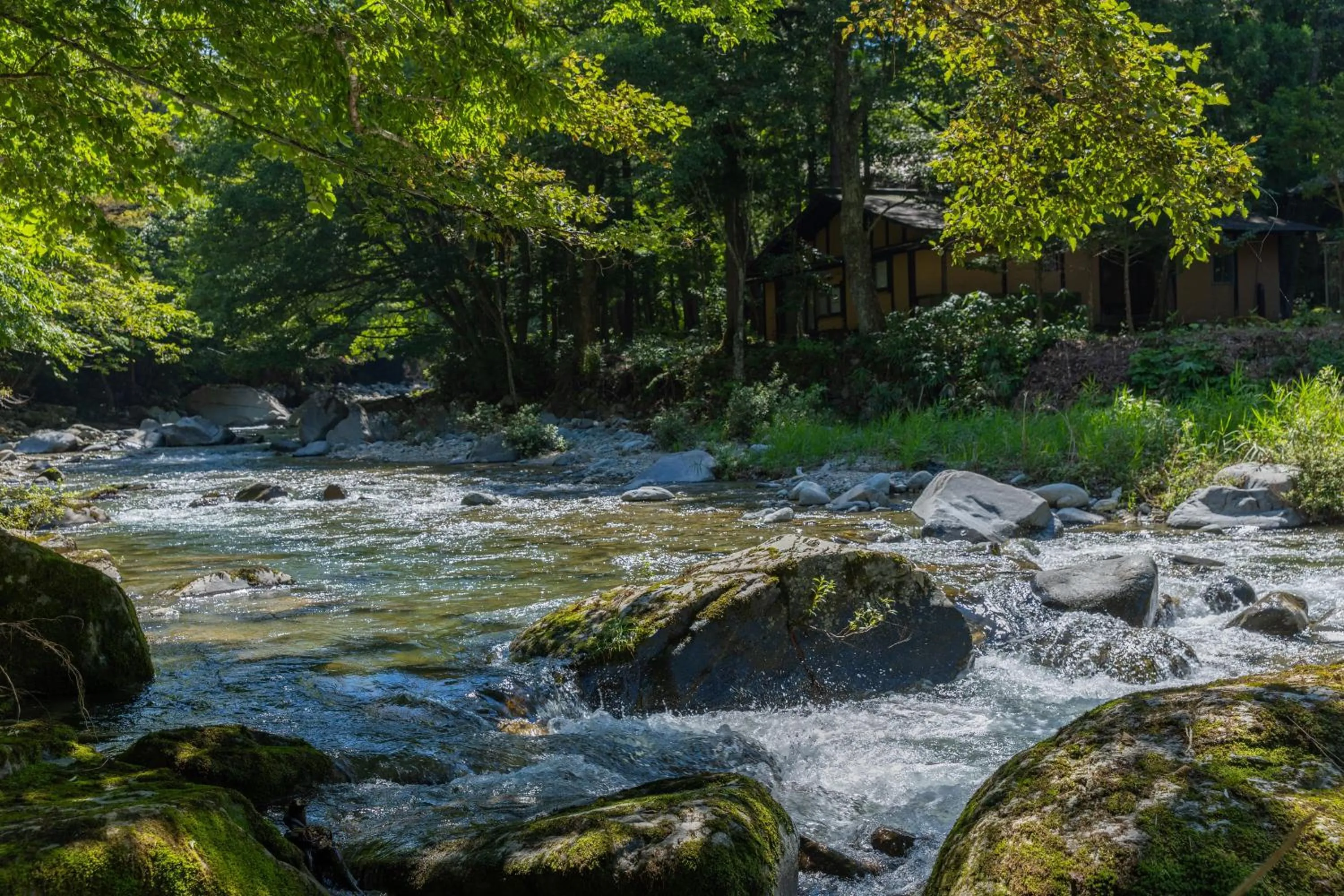 Natural landscape in Wanosato