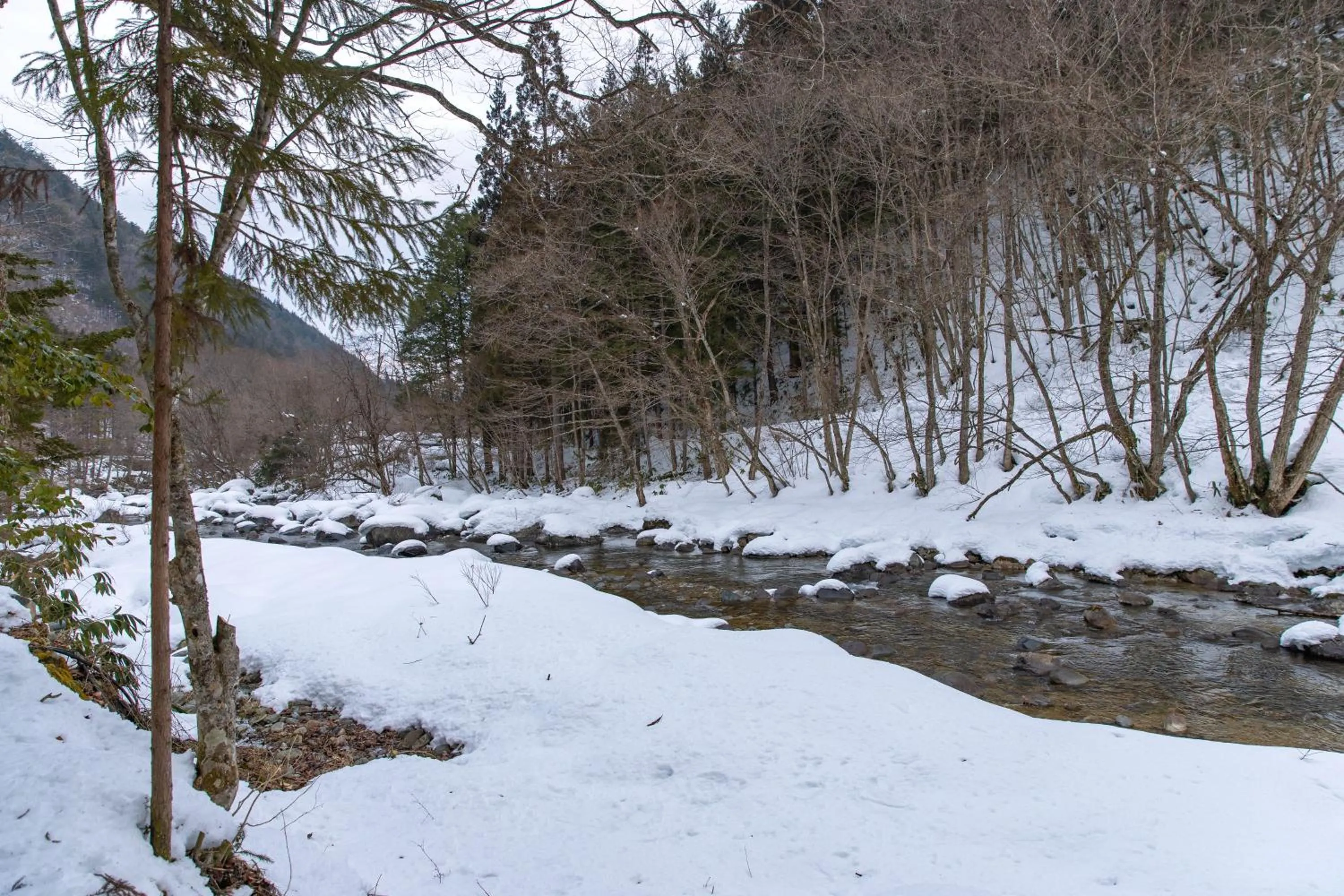 Winter in Wanosato