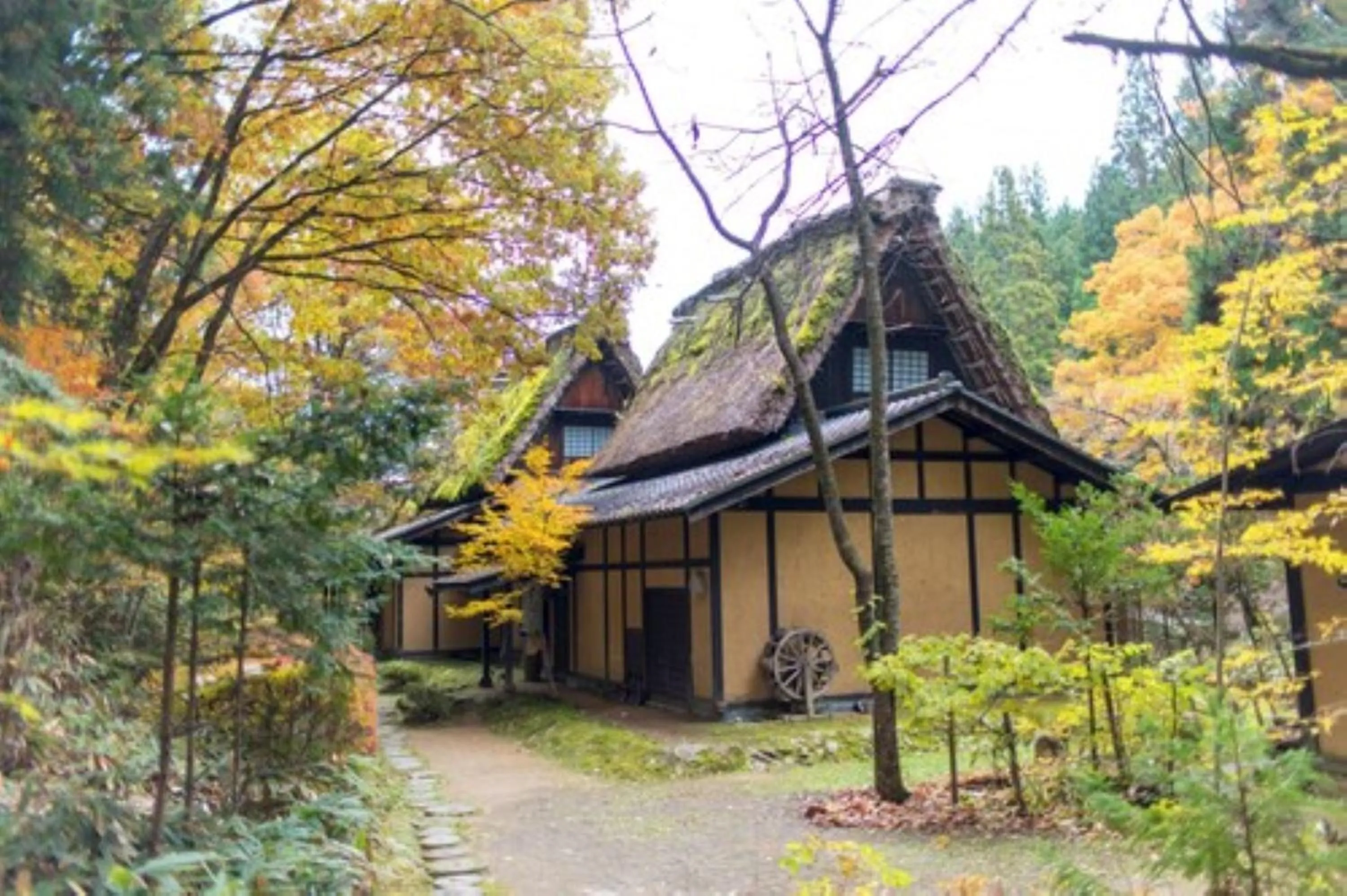 Autumn in Wanosato