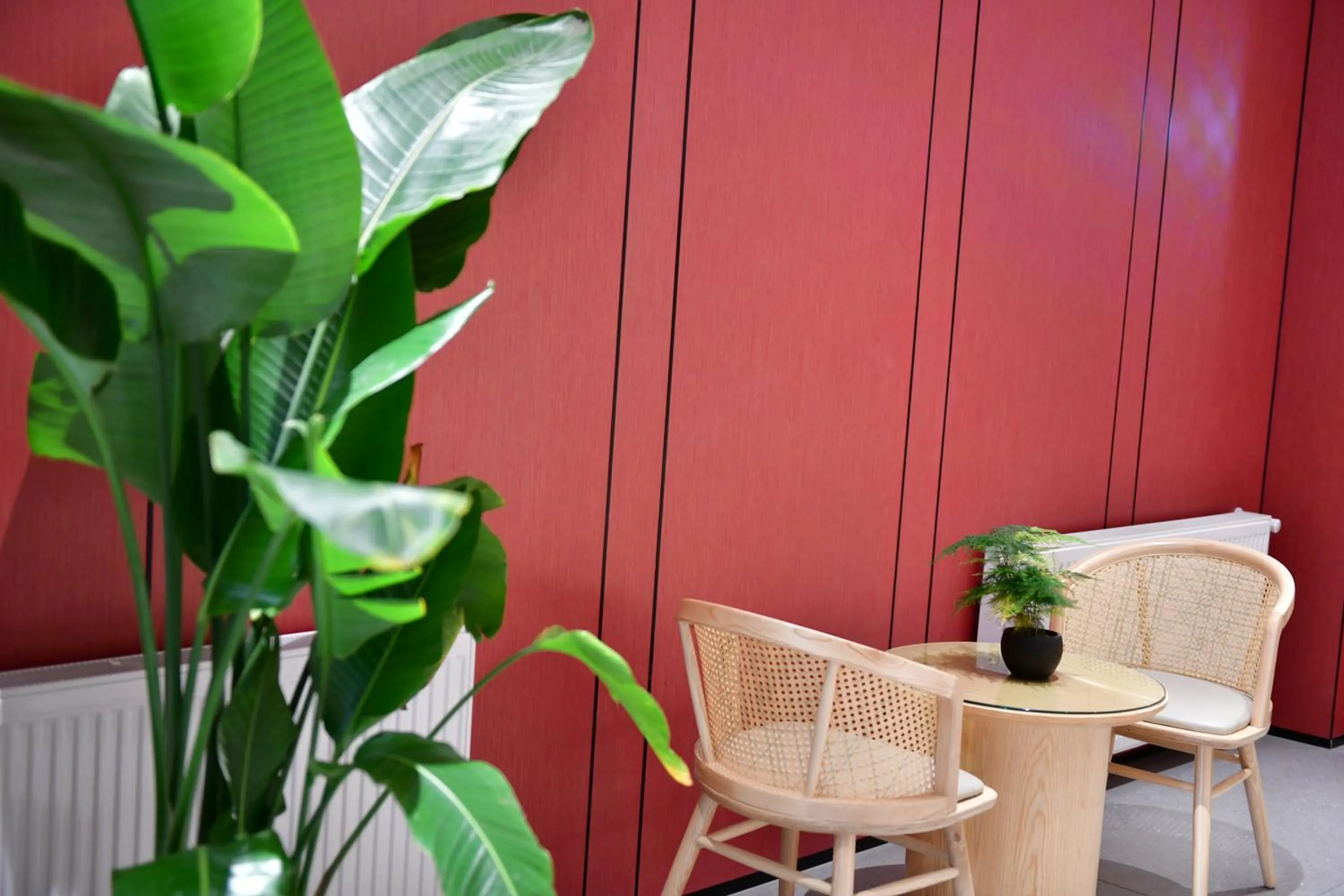 Seating area in Xishu Garden Inn - Travel Agency service - Car Rent service - English Speaking