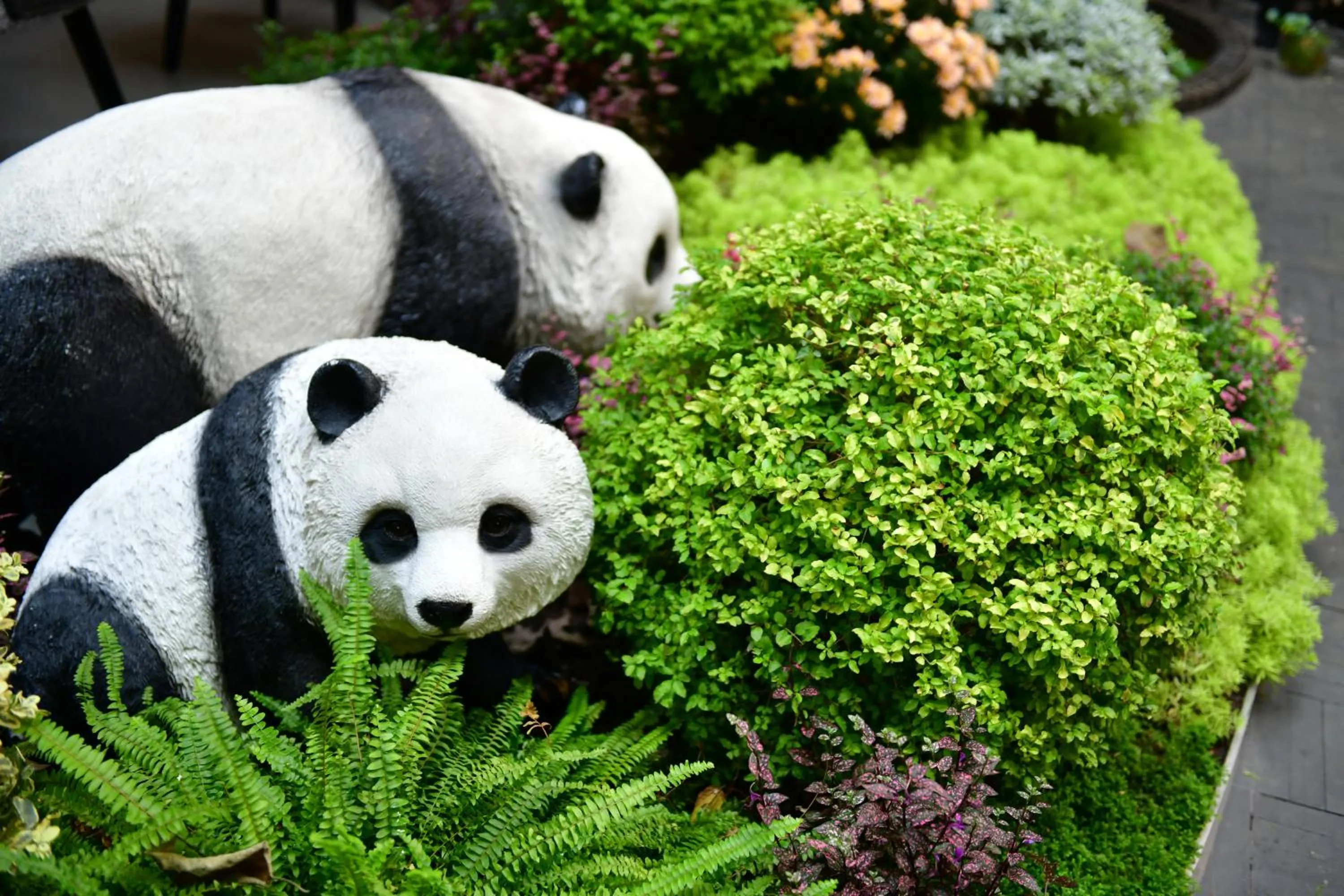 Garden in Xishu Garden Inn - Travel Agency service - Car Rent service - English Speaking