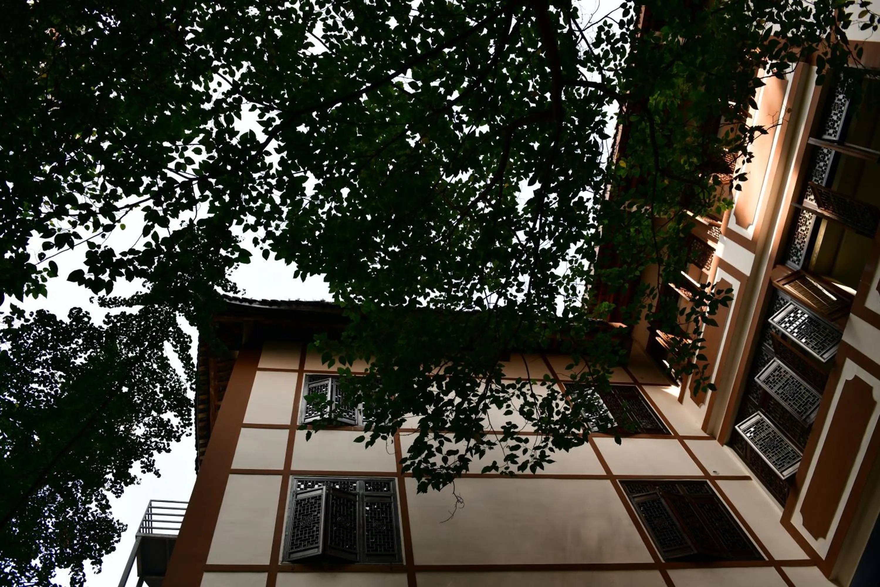 Natural landscape in Xishu Garden Inn - Travel Agency service - Car Rent service - English Speaking