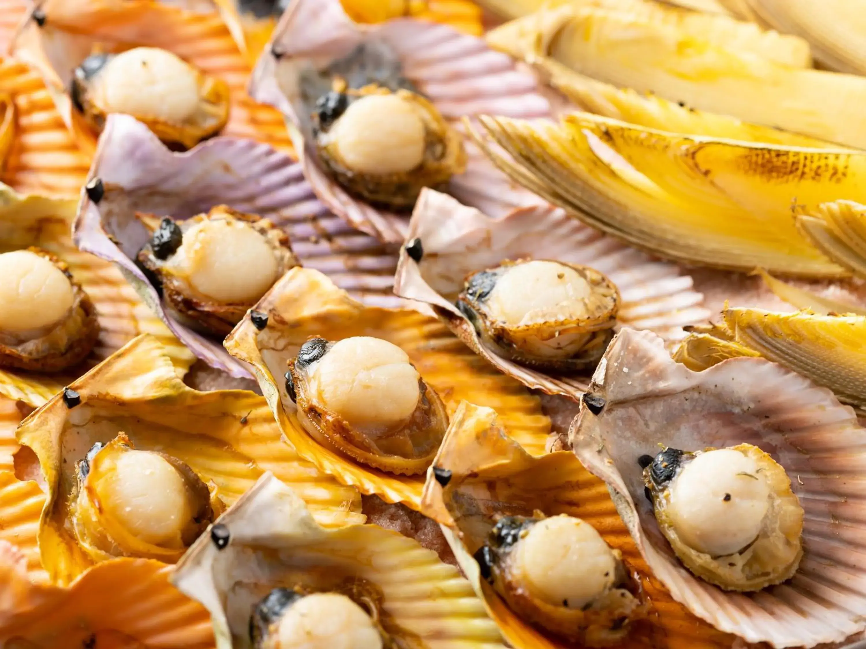 Food and drinks in Spa and Resort Hotel Solage Oita Hiji Beppuwan Food and drinks in Spa and Resort Hotel Solage Oita Hiji Beppuwan