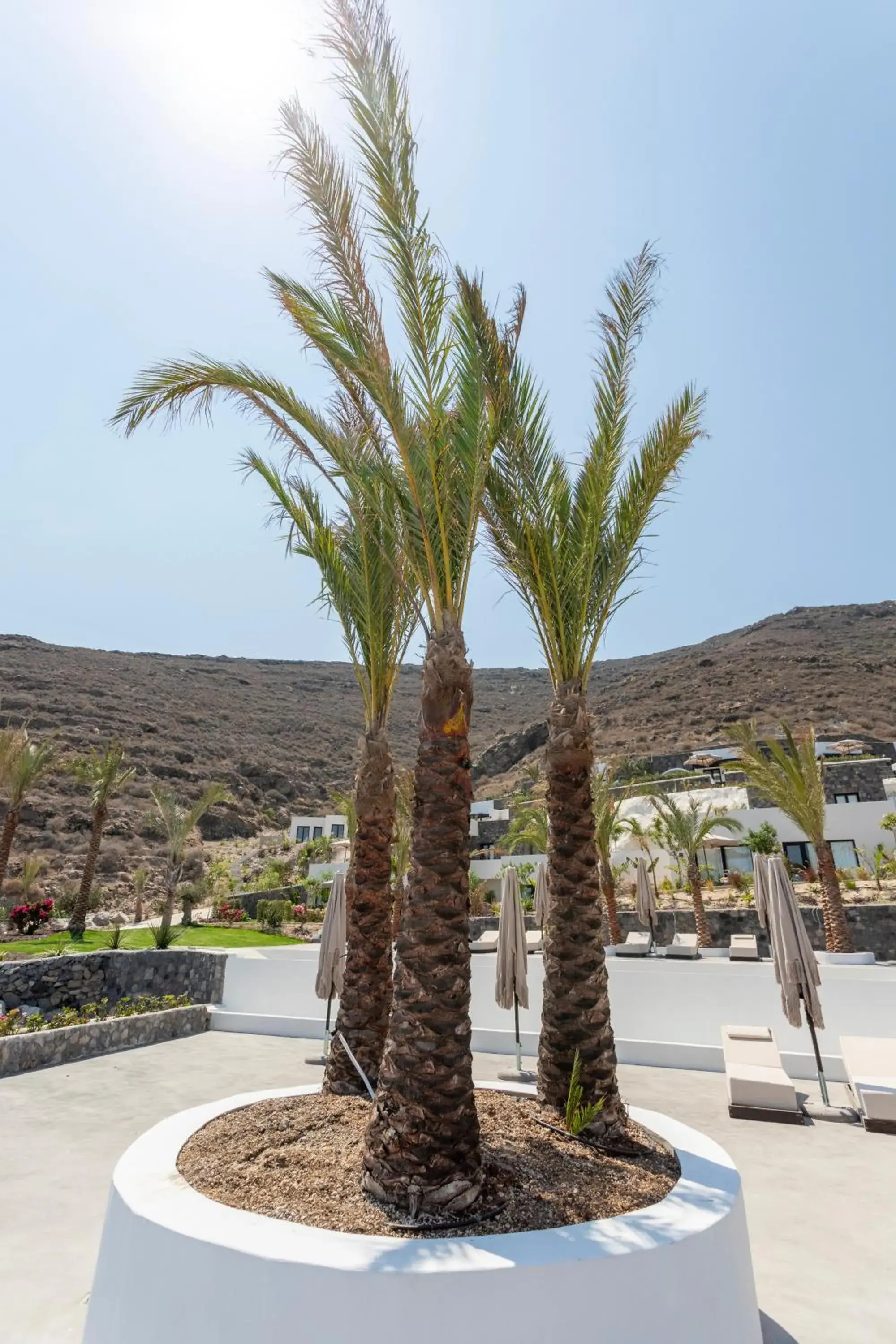 Mountain view in Palm Island Suites Mountain view in Palm Island Suites