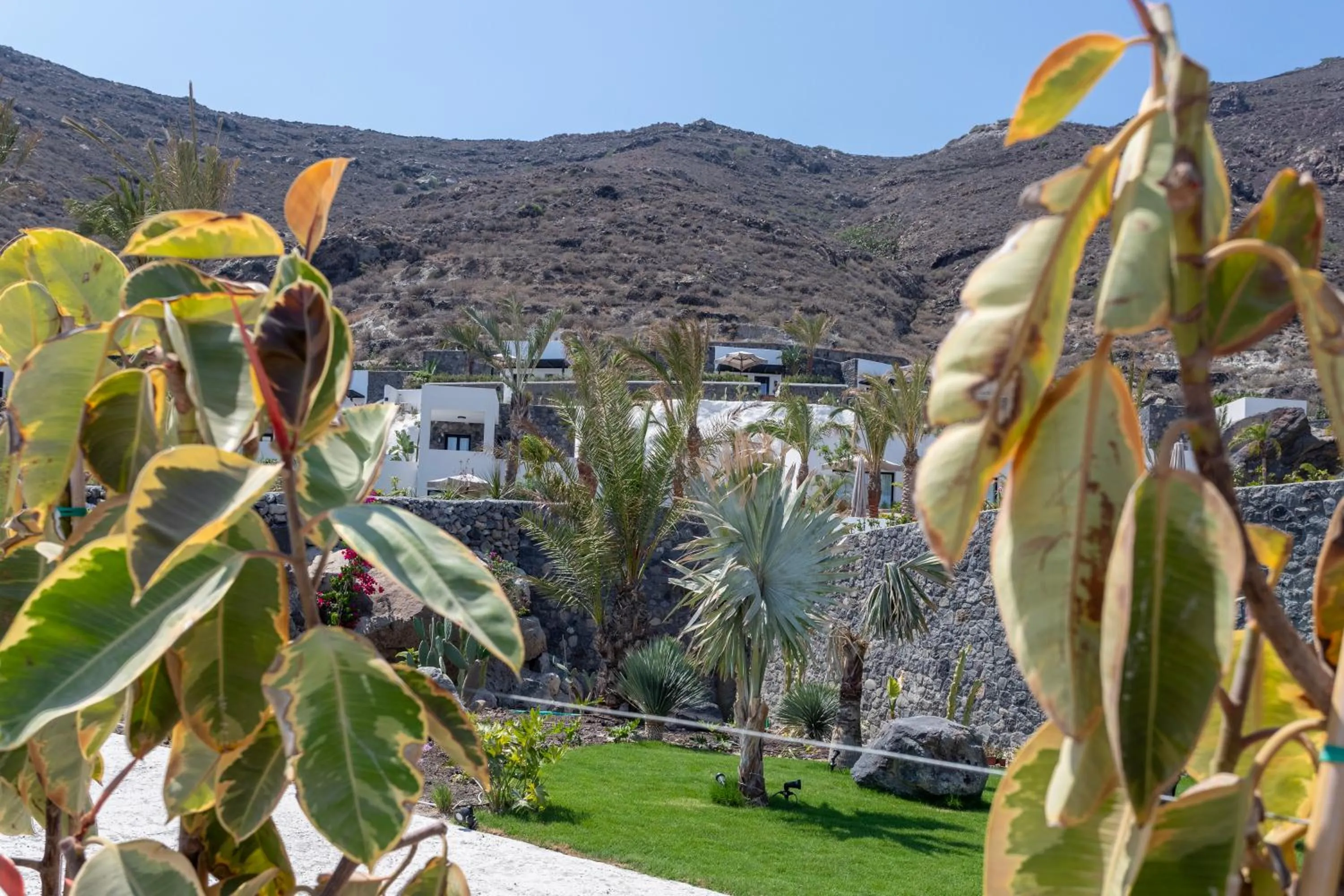 Natural landscape in Palm Island Suites