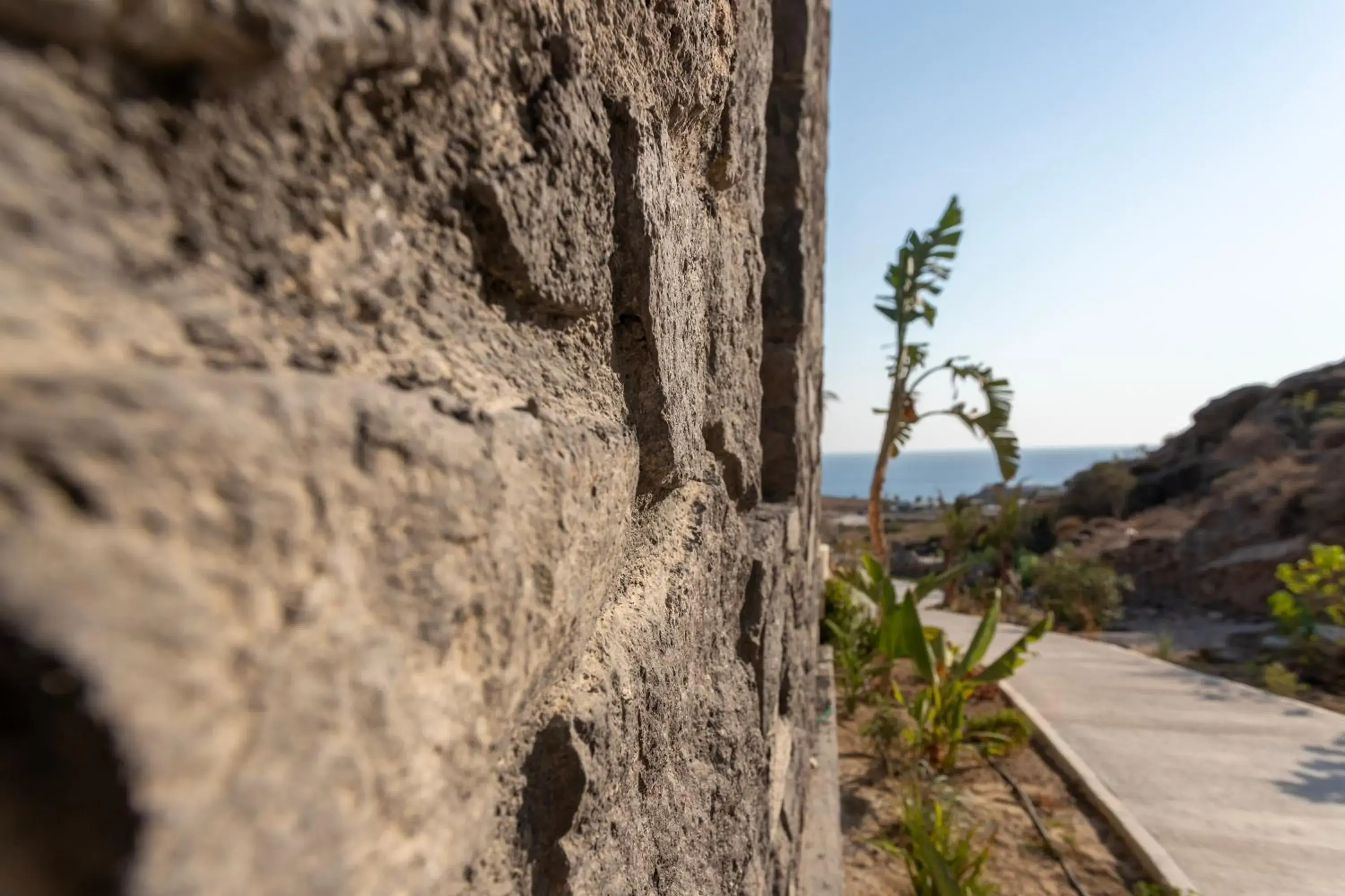 Natural landscape in Palm Island Suites Natural landscape in Palm Island Suites