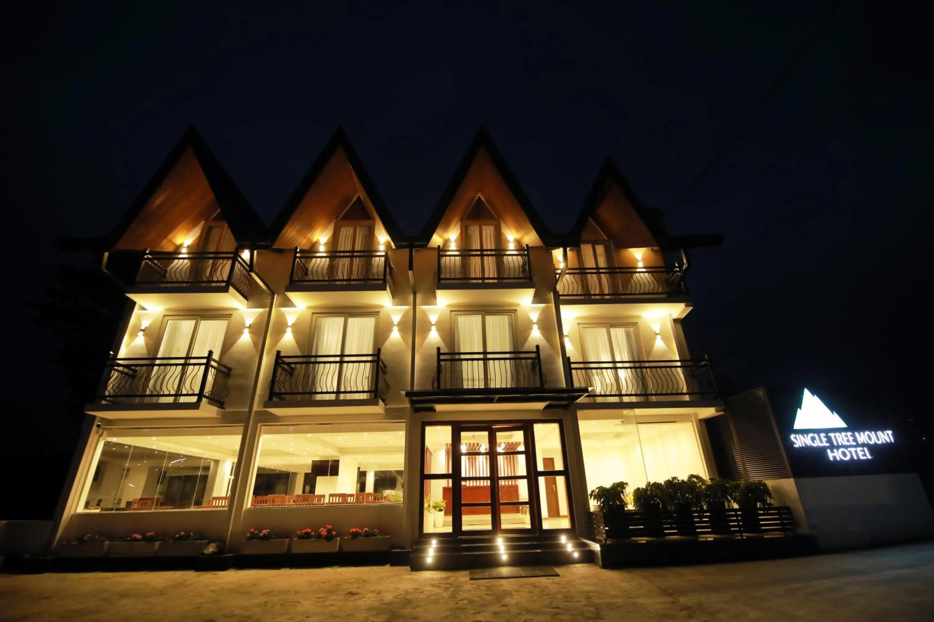 Night in Single Tree Mount Hotel