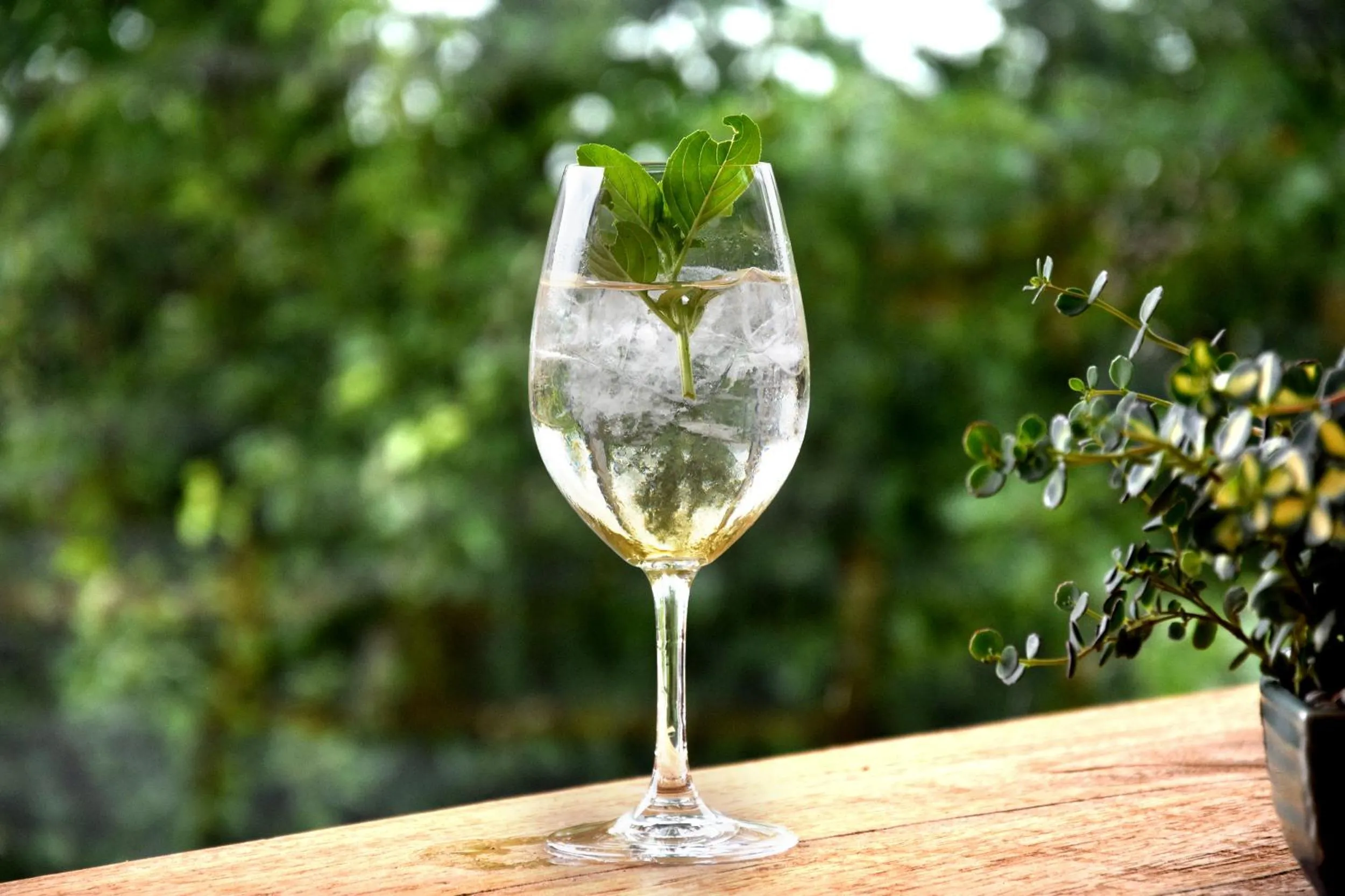 Non alcoholic drinks in Wellnessgarten-Hotel