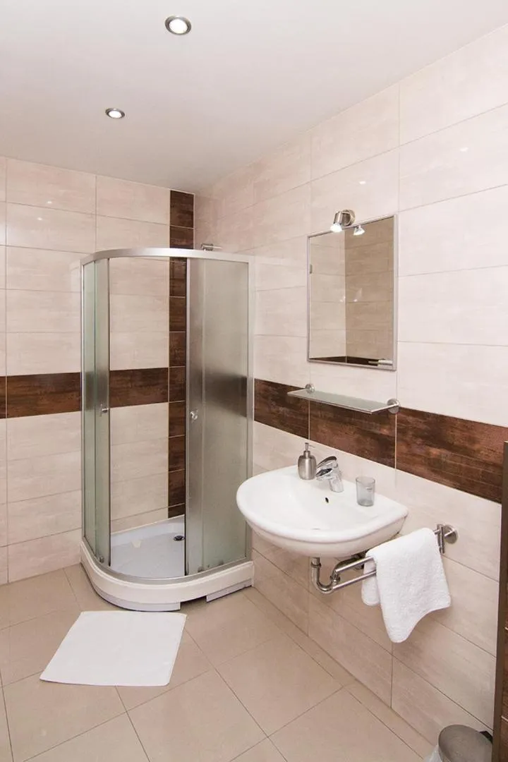 Studio Apartment in Pensiunea Haus Paltinul