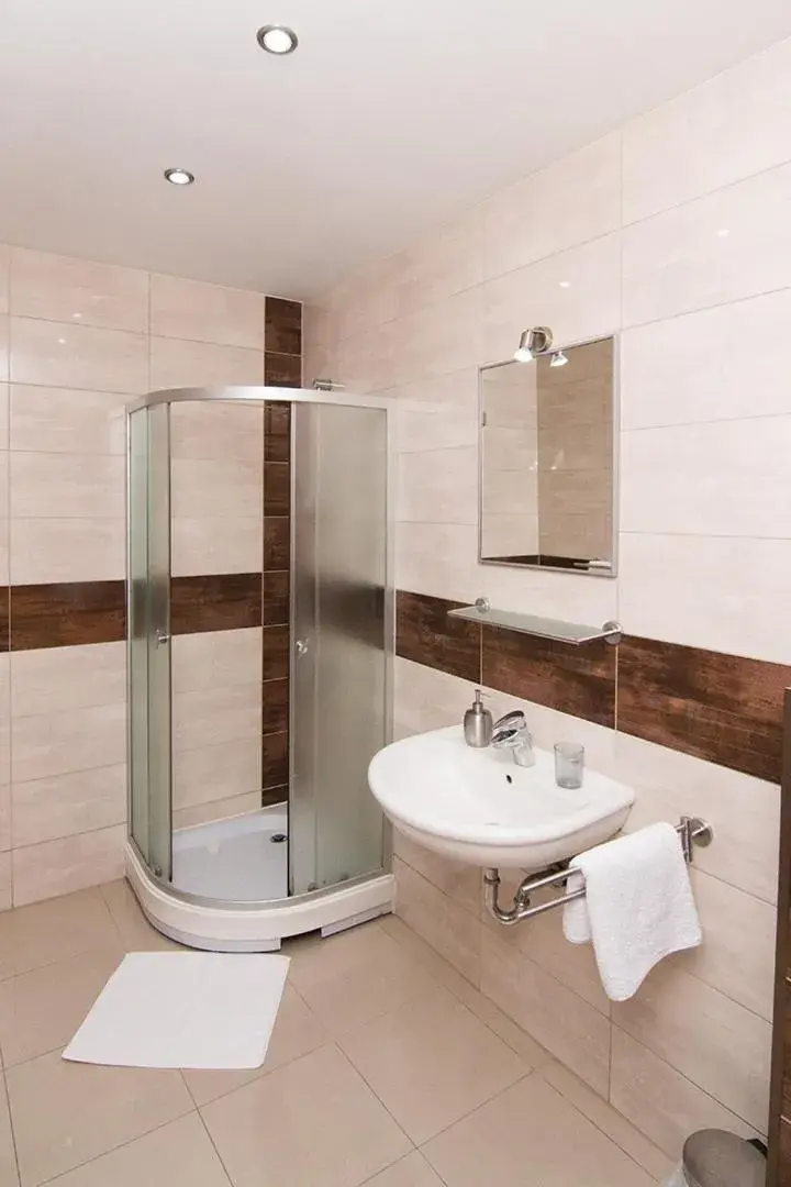 Studio Apartment in Pensiunea Haus Paltinul Studio Apartment in Pensiunea Haus Paltinul