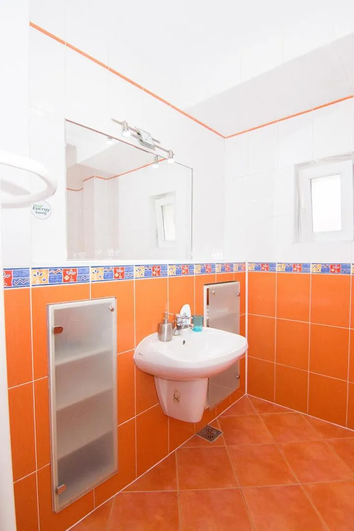 Apartment - Ground Floor in Pensiunea Haus Paltinul