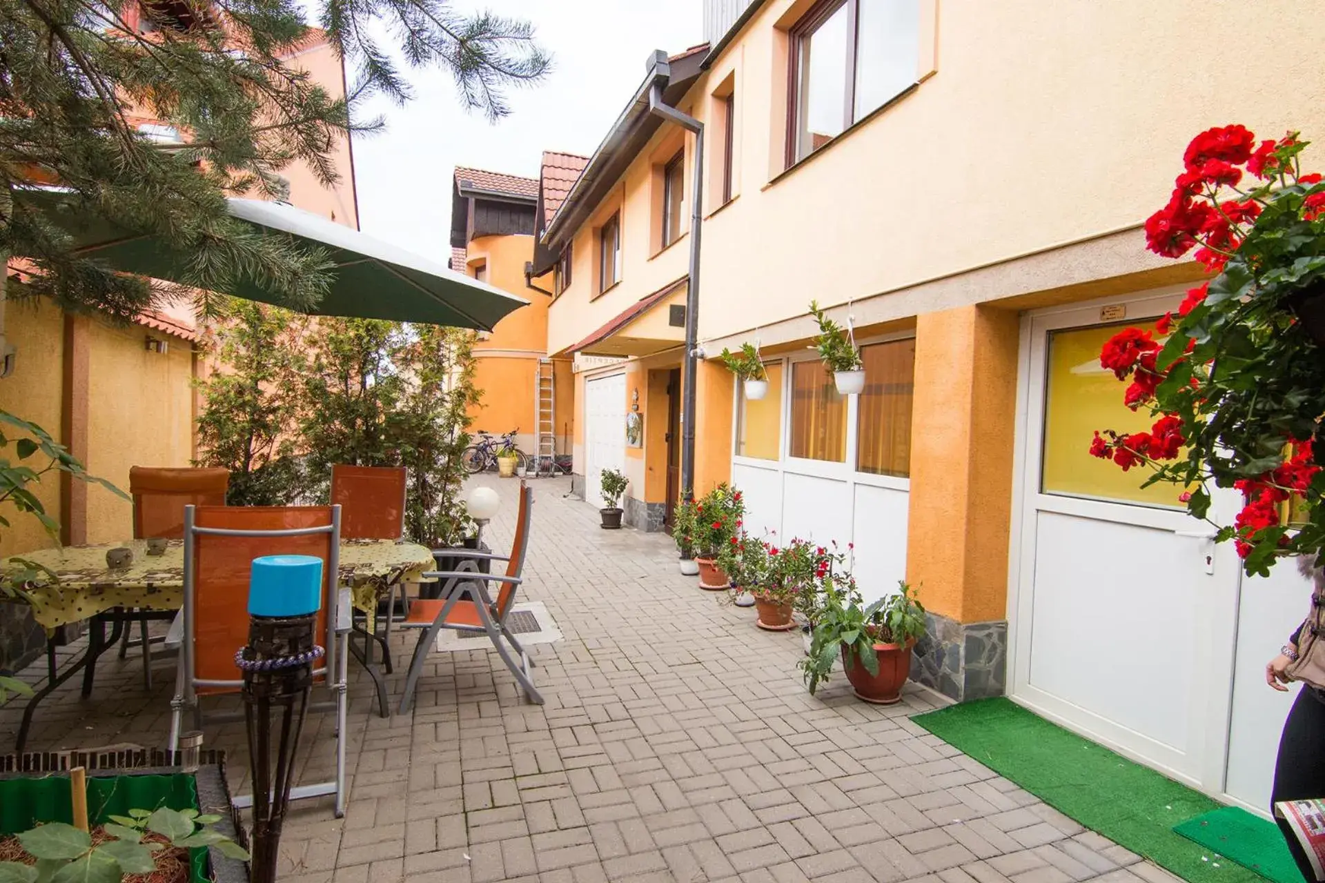 Pensiunea Haus Paltinul Pensiunea Haus Paltinul