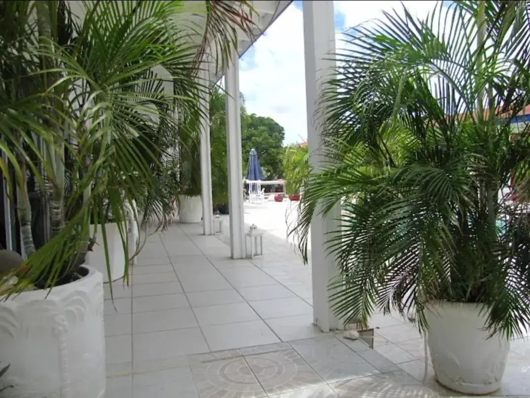 Bed in 4-Bed Mixed Dormitory Room in YOUR FIRST DAY Hotel on Aruba Bed in 4-Bed Mixed Dormitory Room in YOUR FIRST DAY Hotel on Aruba