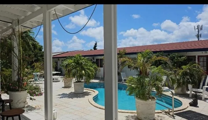 Pool view in YOUR FIRST DAY Hotel on Aruba
