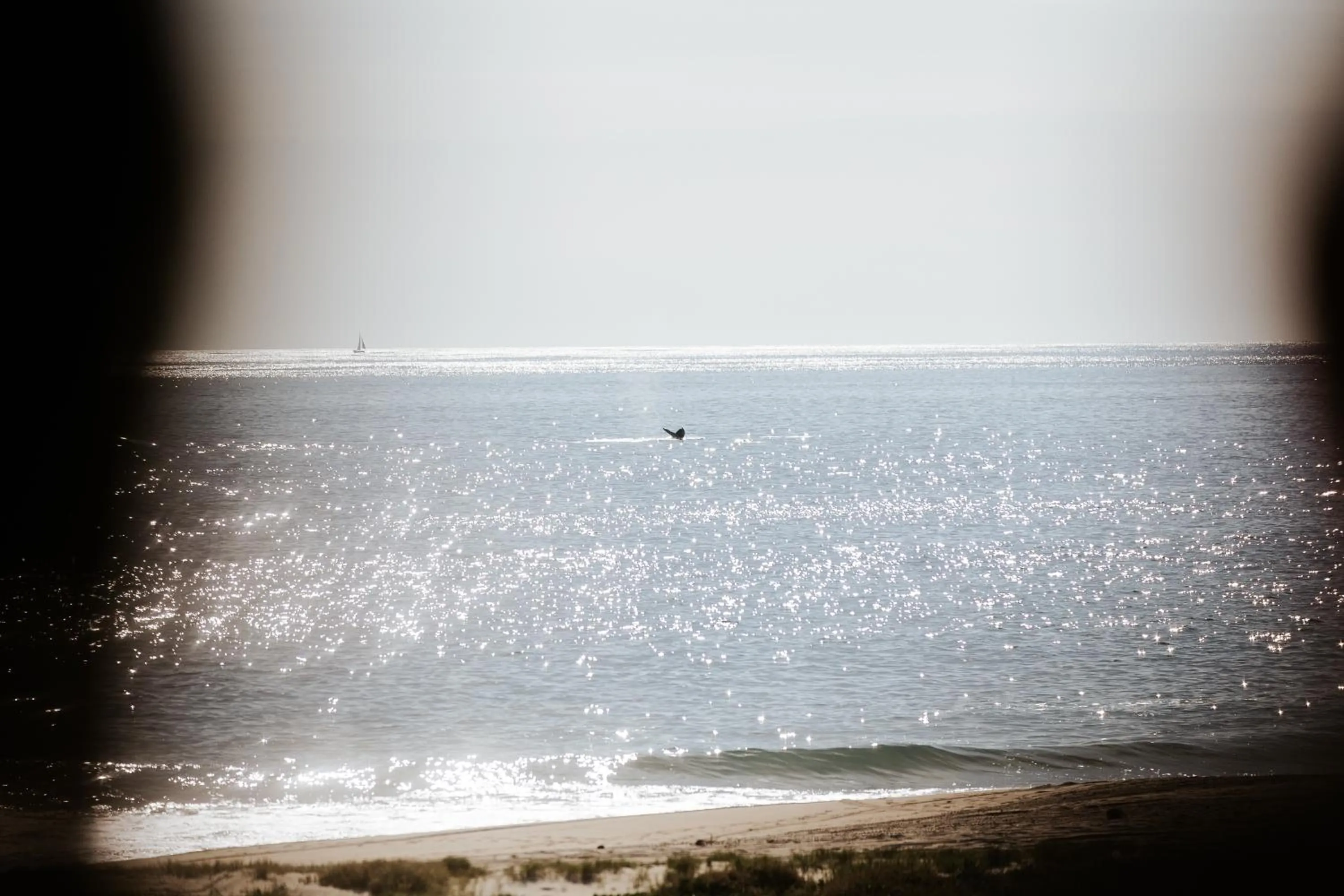 Natural landscape in El Origen Villas & Spa-Puerto Escondido