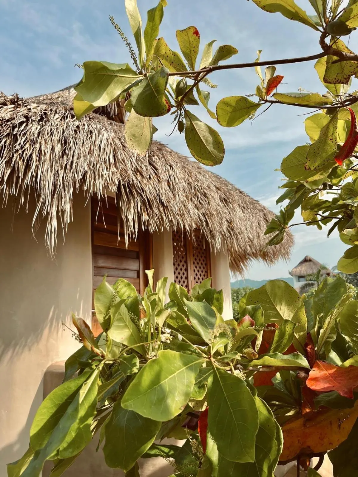 Property building in El Origen Villas & Spa-Puerto Escondido