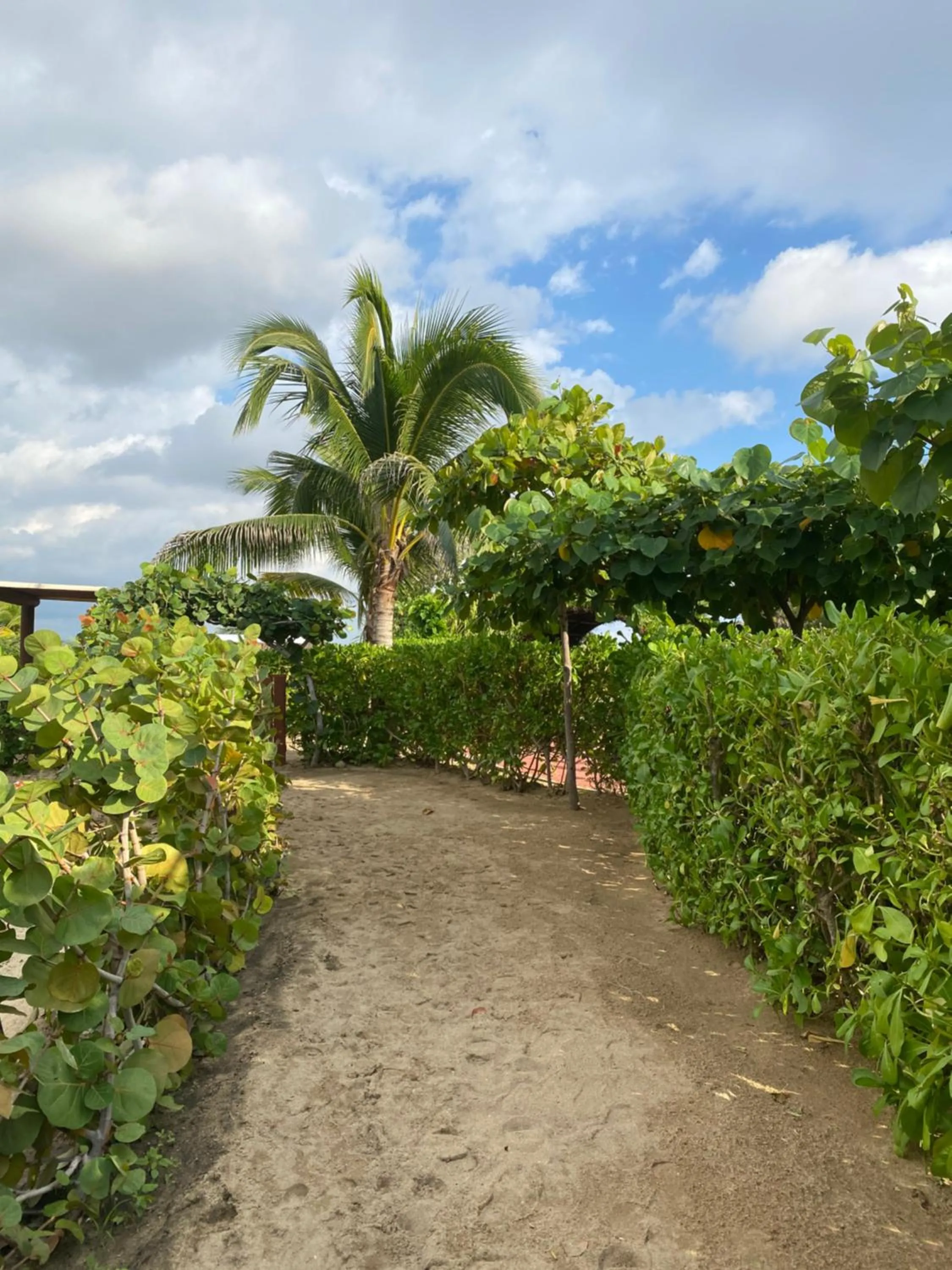 Natural landscape in El Origen Villas & Spa-Puerto Escondido