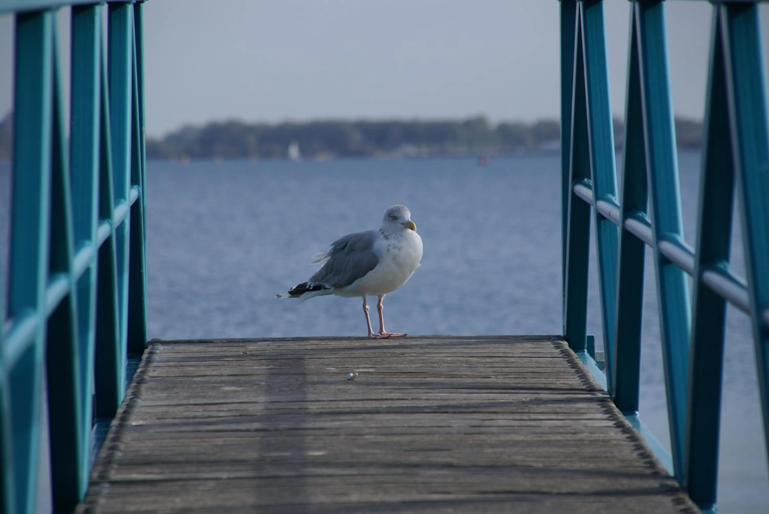 Other in Hotel Restaurant de Boekanier