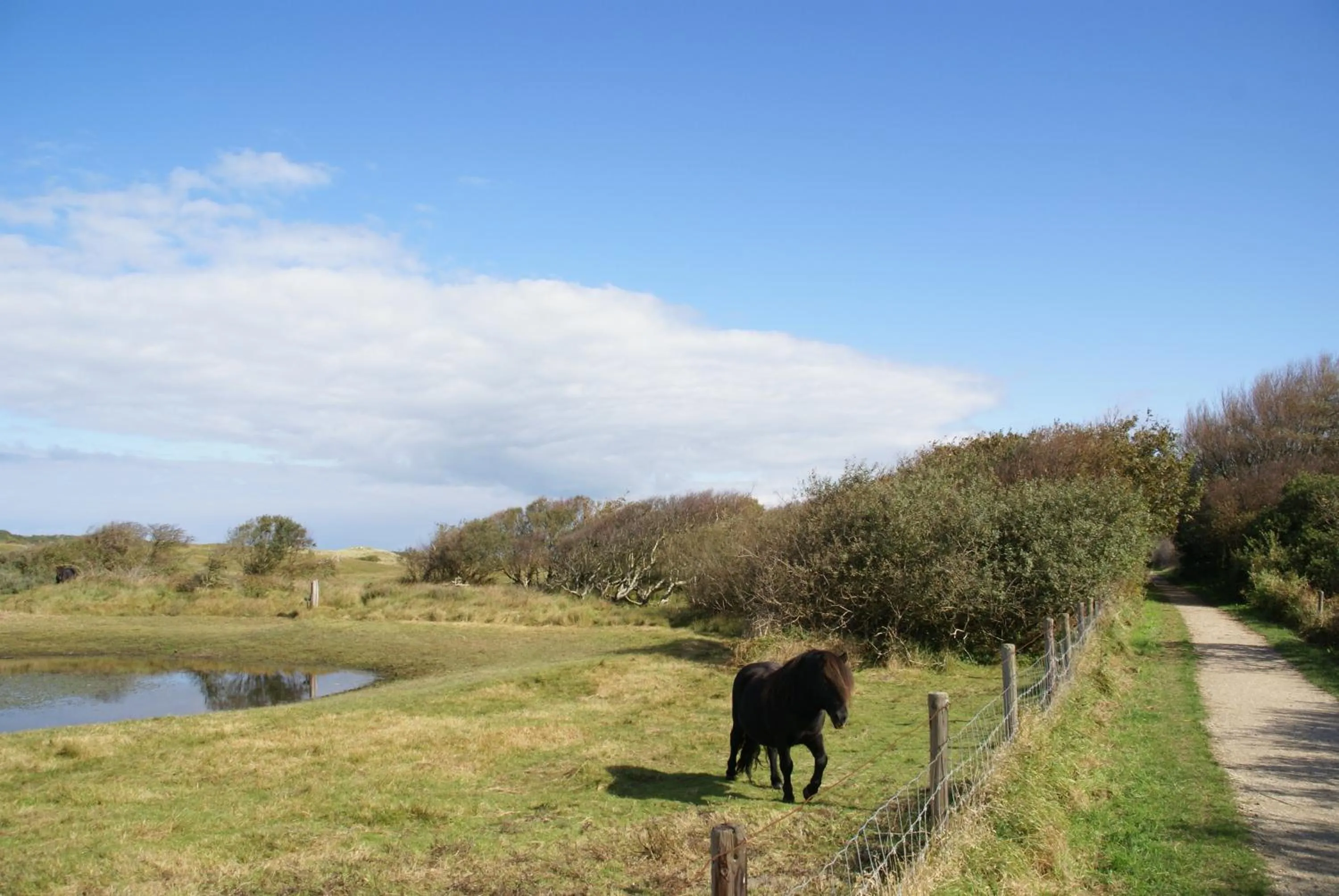 Area and facilities in Hotel Restaurant de Boekanier