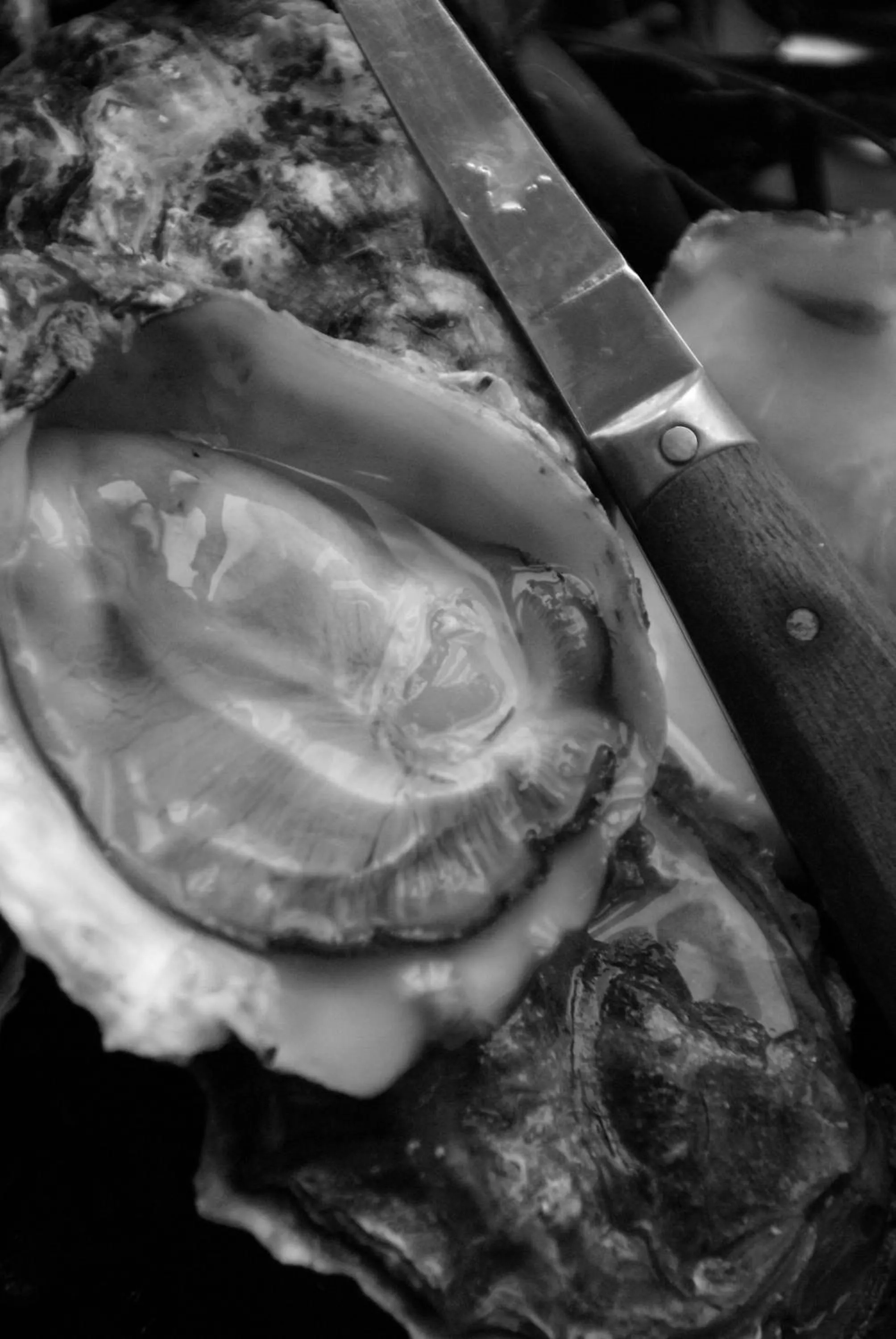 Food in Hotel Restaurant de Boekanier