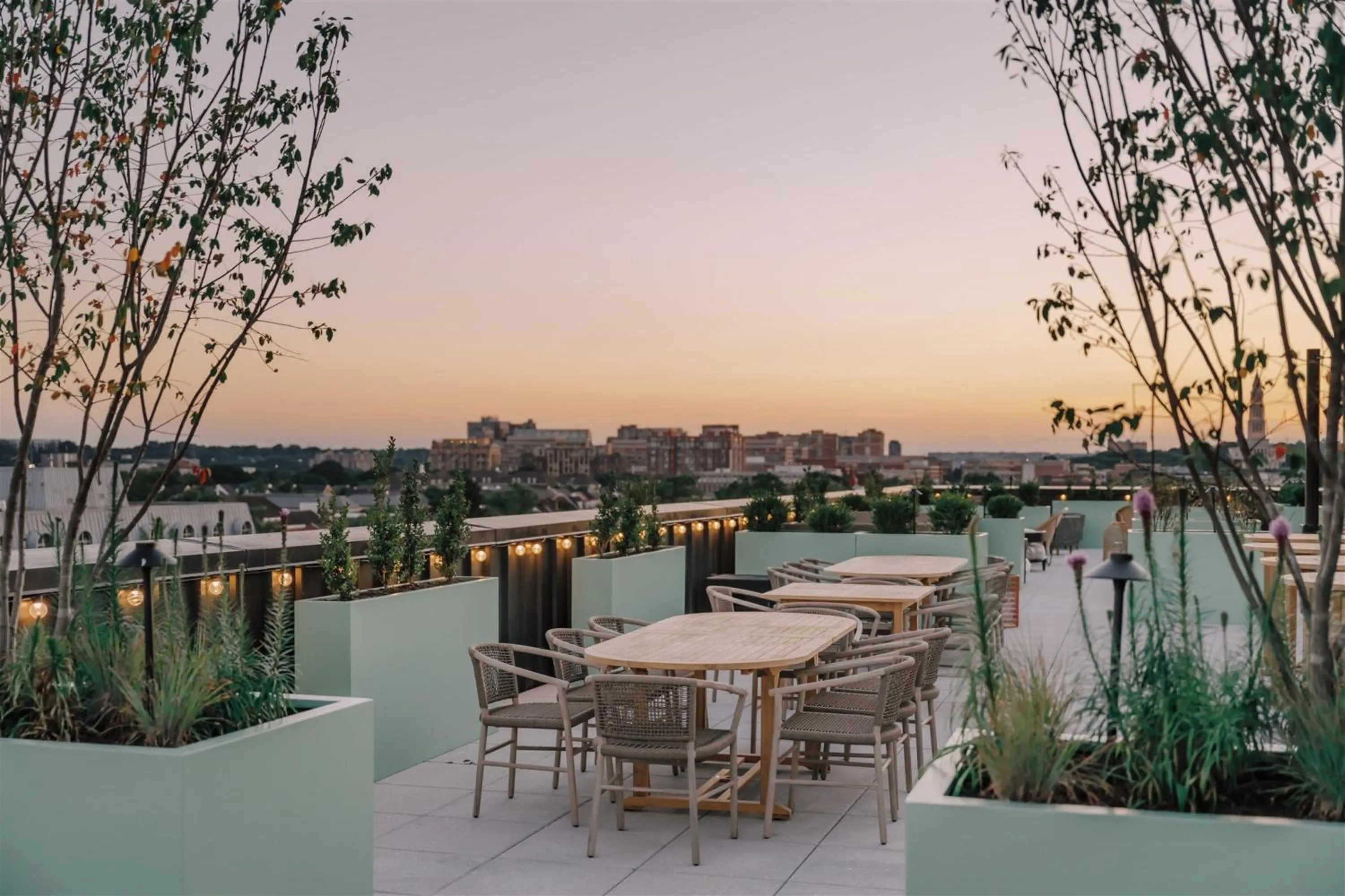 Restaurant/places to eat in Hotel Heron Alexandria Old Town, Curio Collection by Hilton