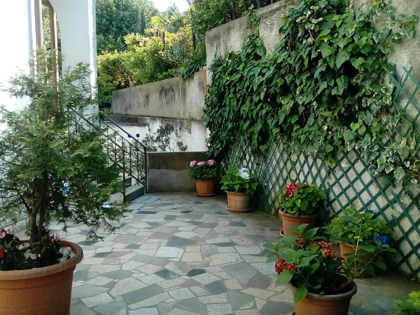 Garden in Guesthouse Villa Stanger