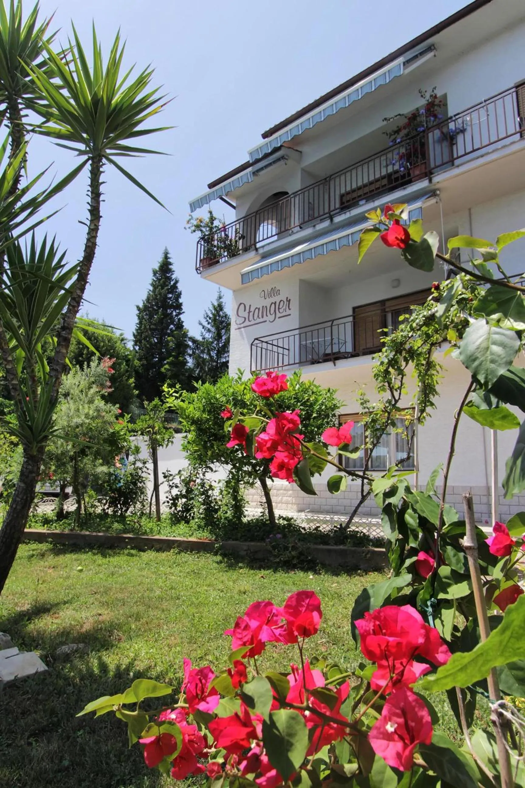 Garden in Guesthouse Villa Stanger