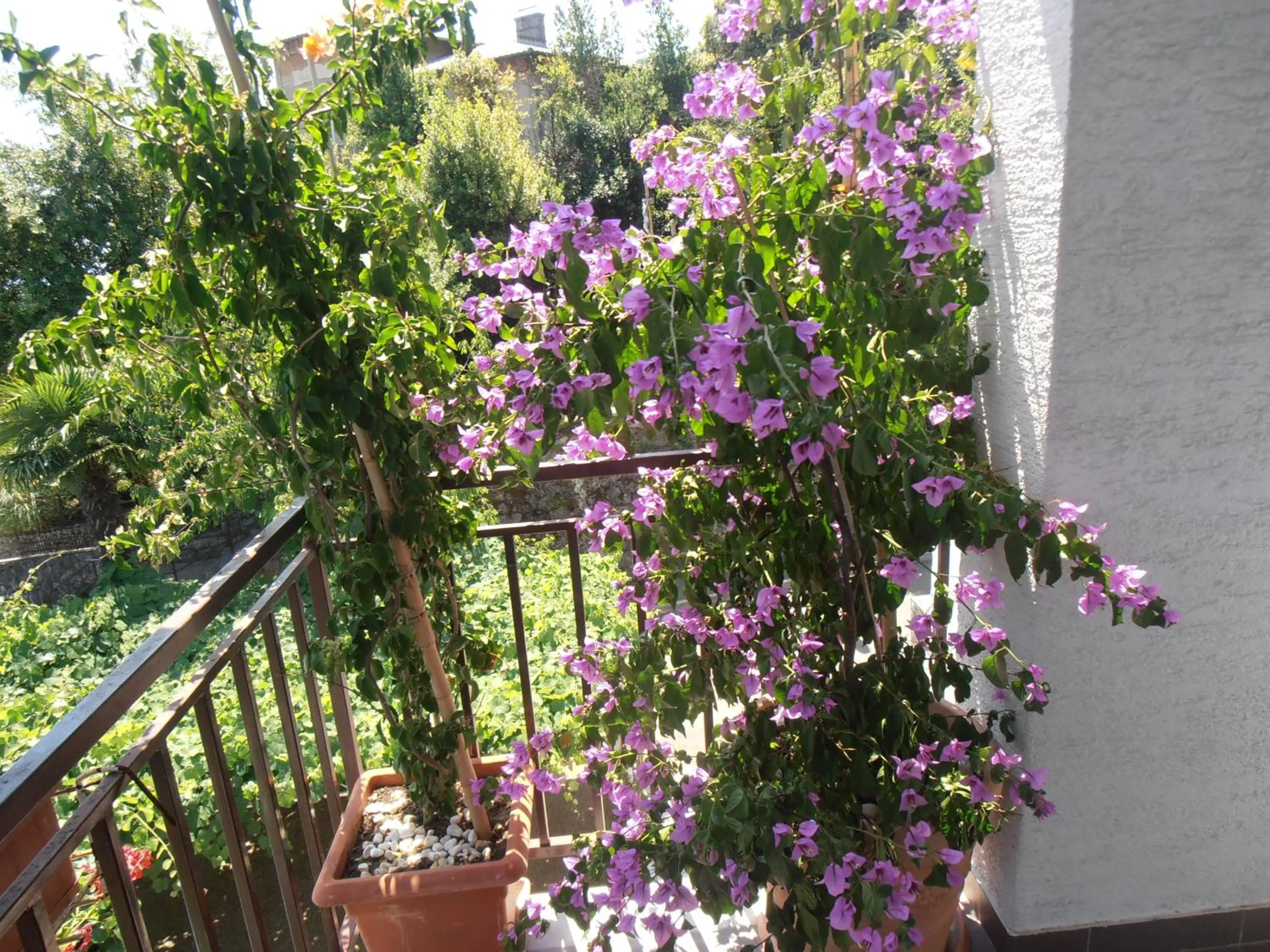 Spring in Guesthouse Villa Stanger