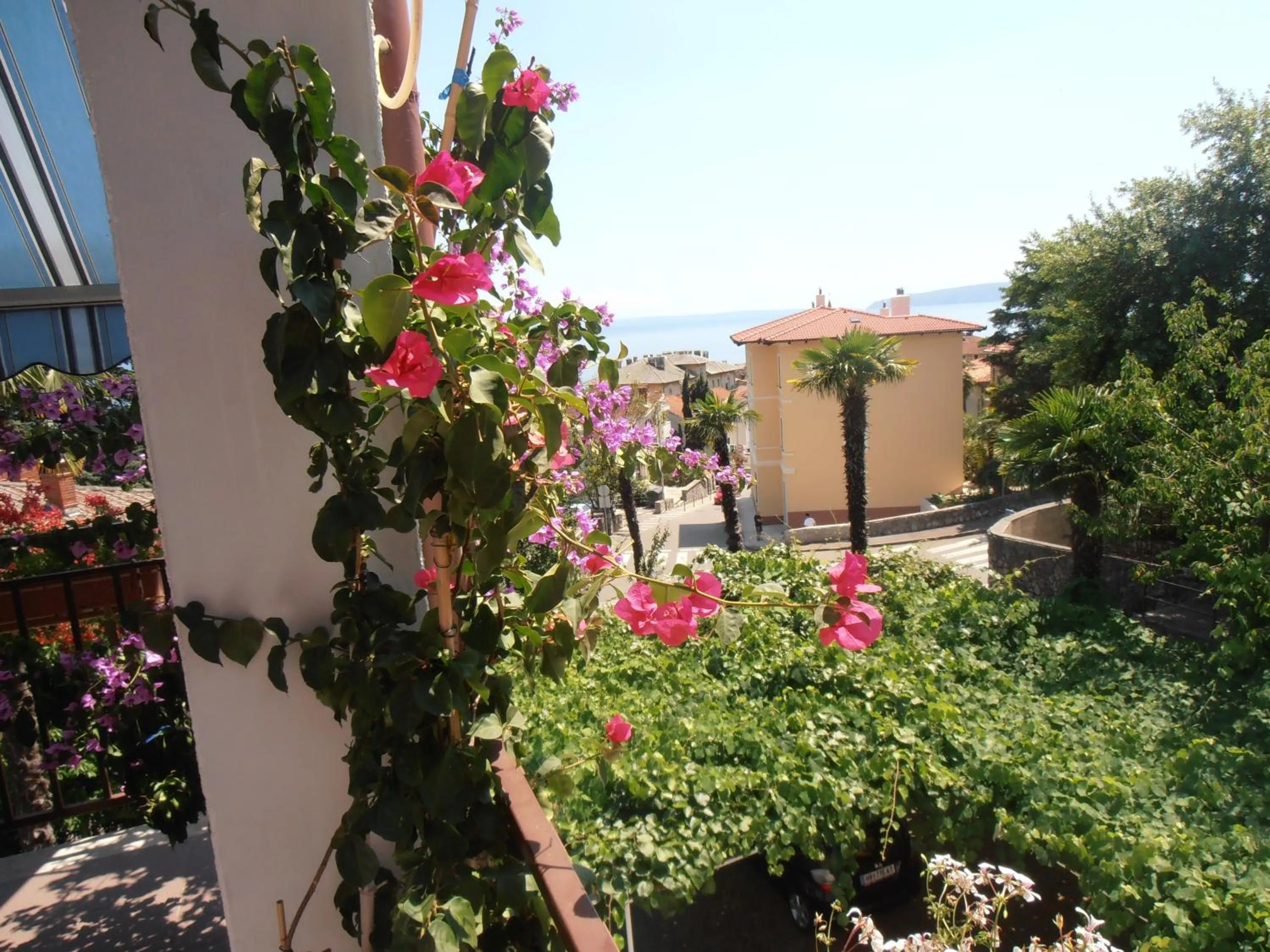 Spring in Guesthouse Villa Stanger
