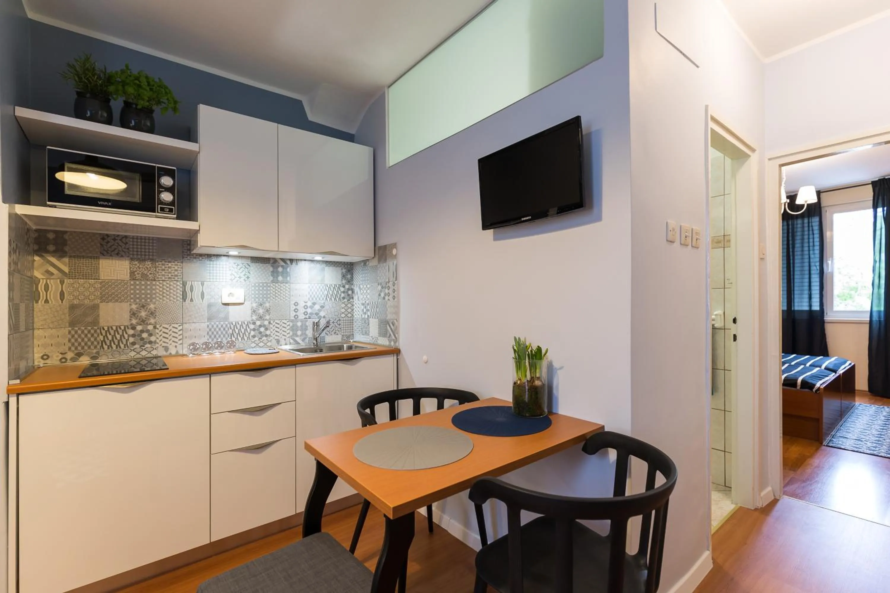 TV and multimedia in Apartment Skarica