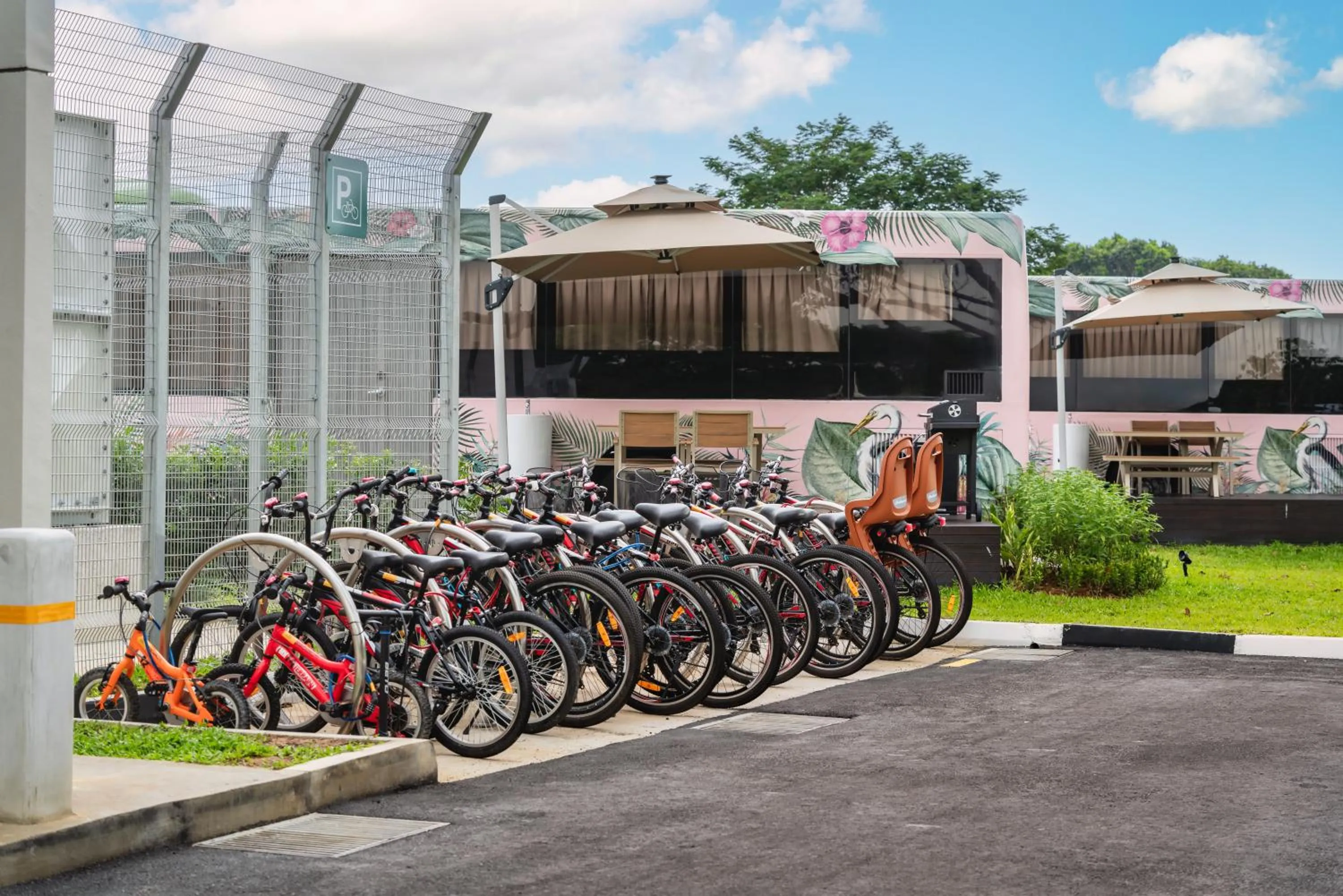 Cycling in The Bus Collective