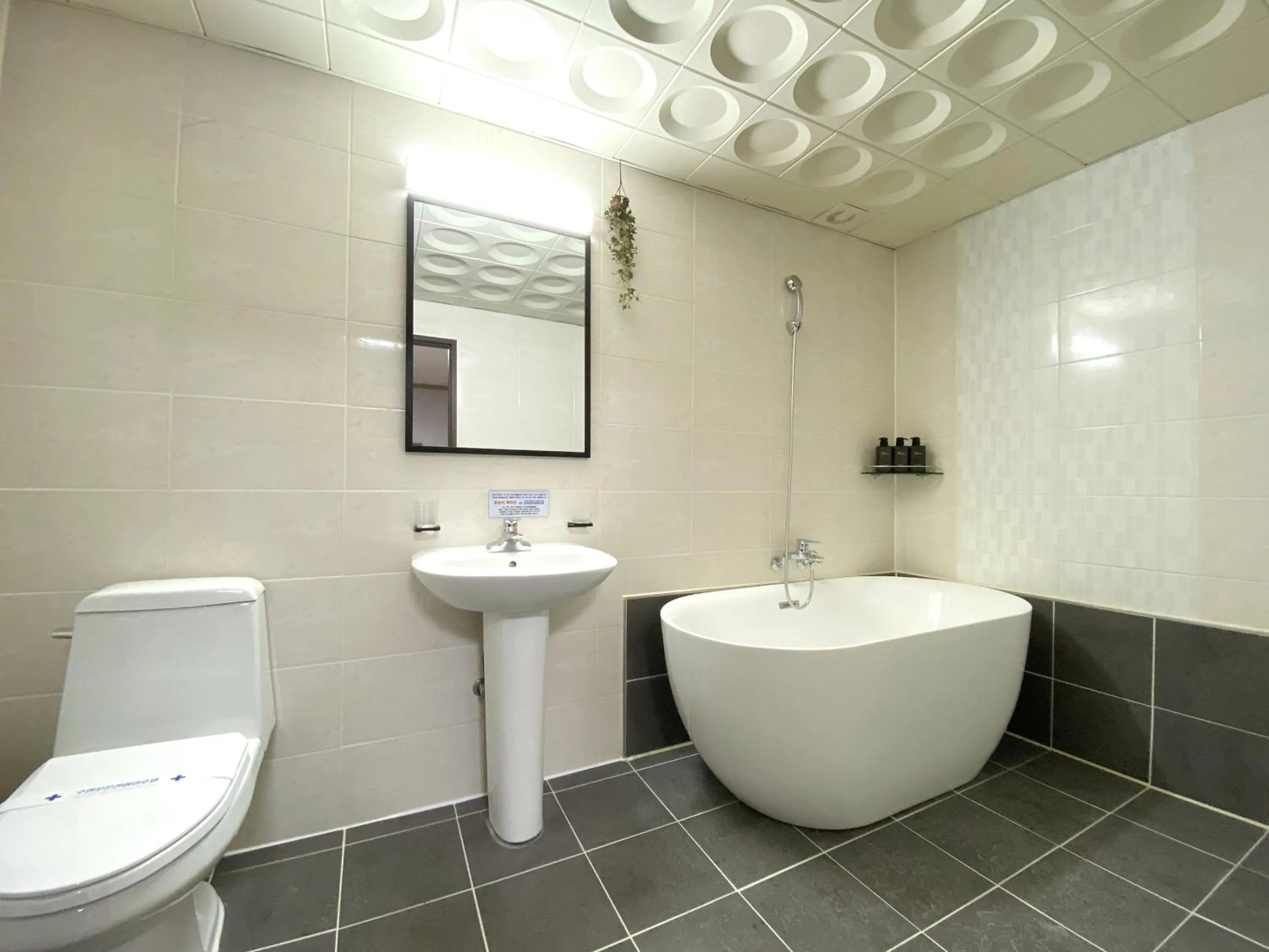 Suanbo Hot Spring Healing Hotel