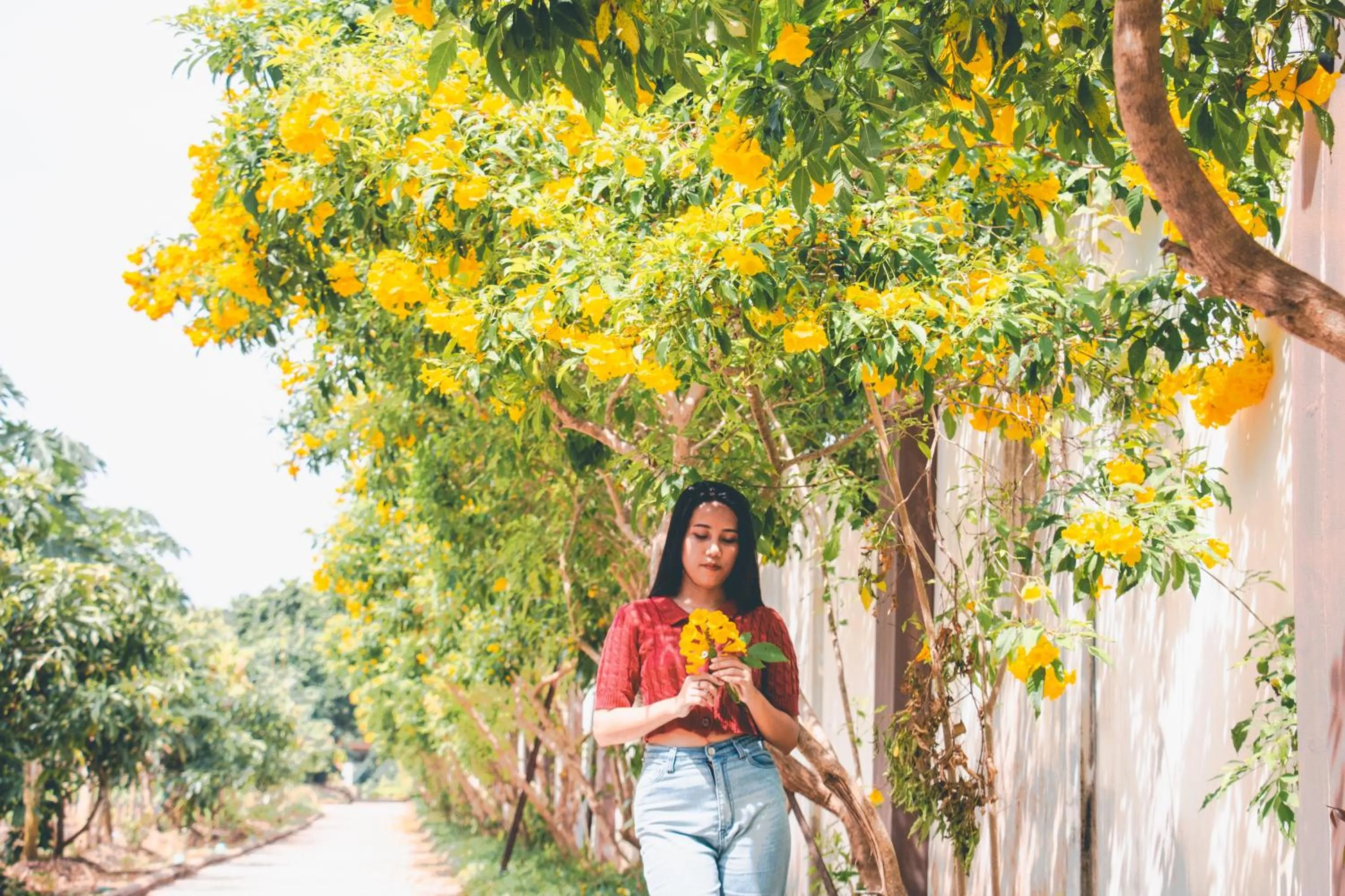 Spring in Victoria Cliff Hotel & Resort, Kawthaung