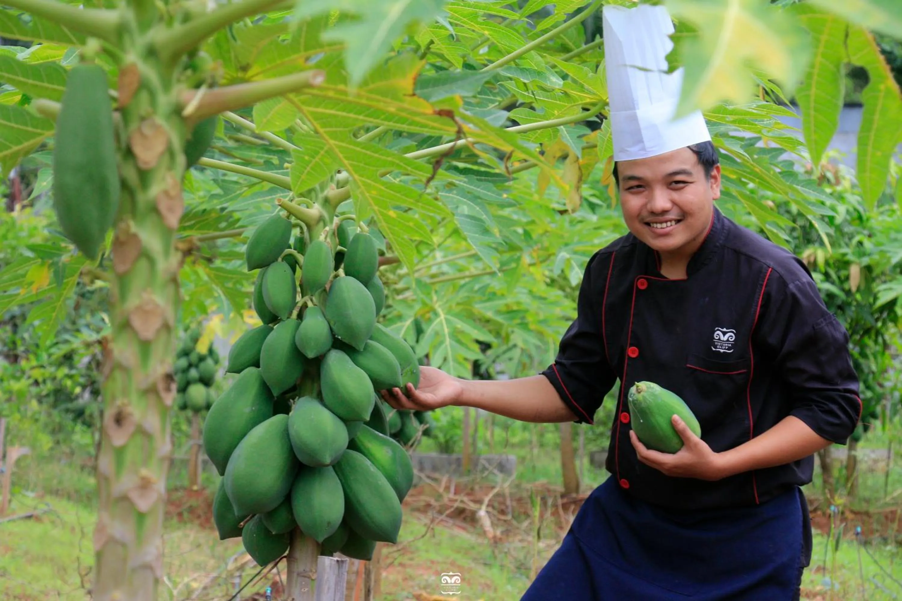 Day in Victoria Cliff Hotel & Resort, Kawthaung