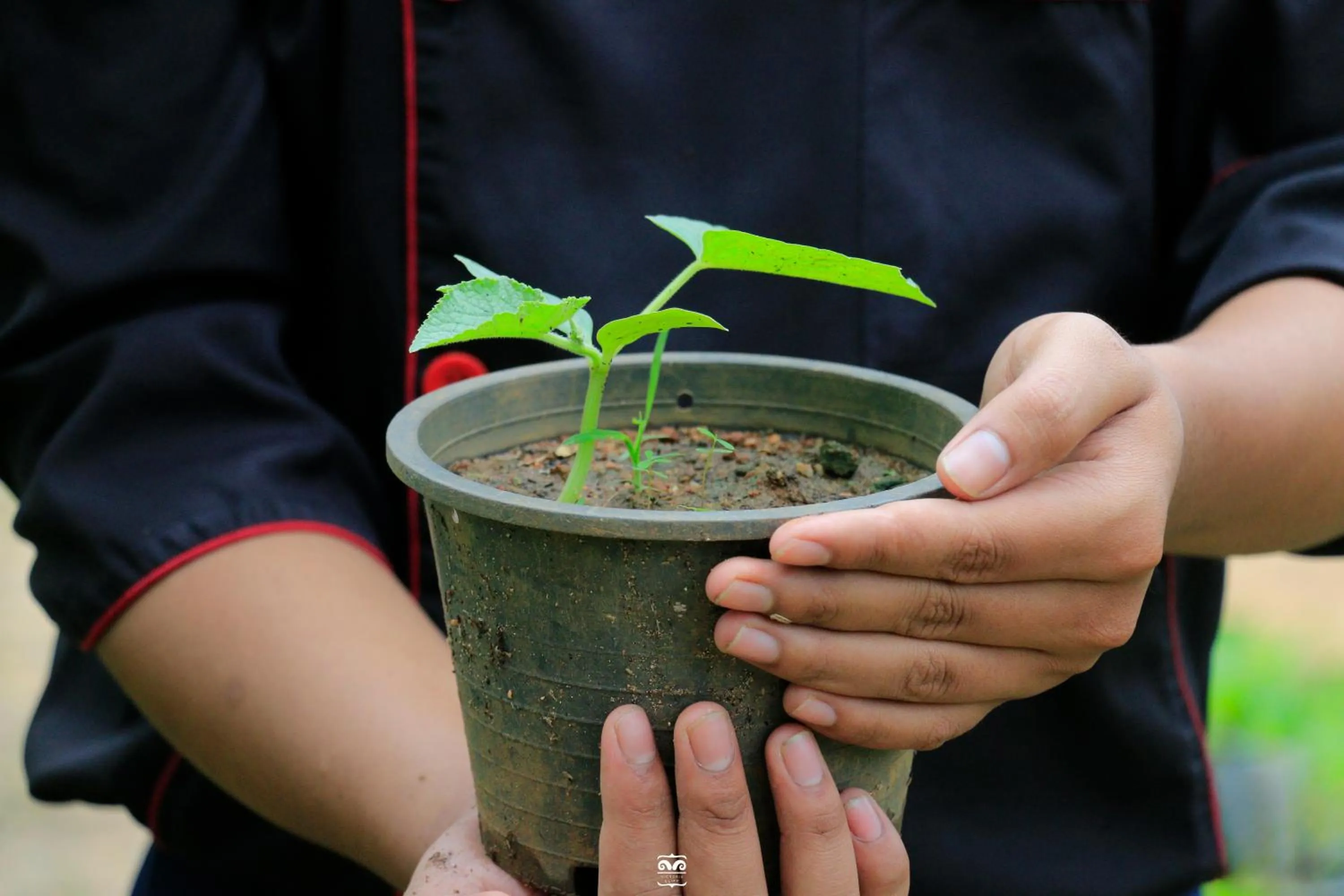 People in Victoria Cliff Hotel & Resort, Kawthaung