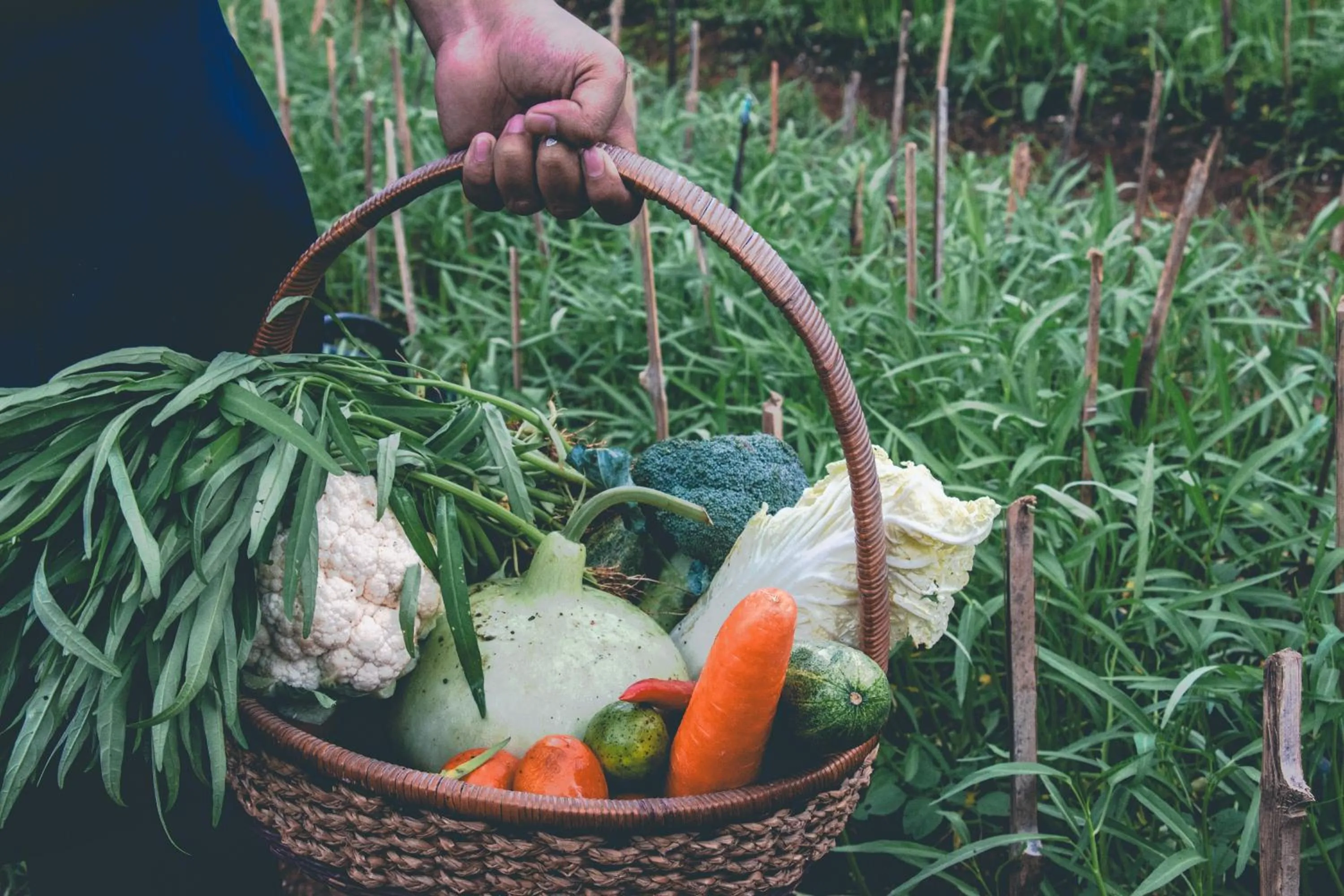 Spring in Victoria Cliff Hotel & Resort, Kawthaung