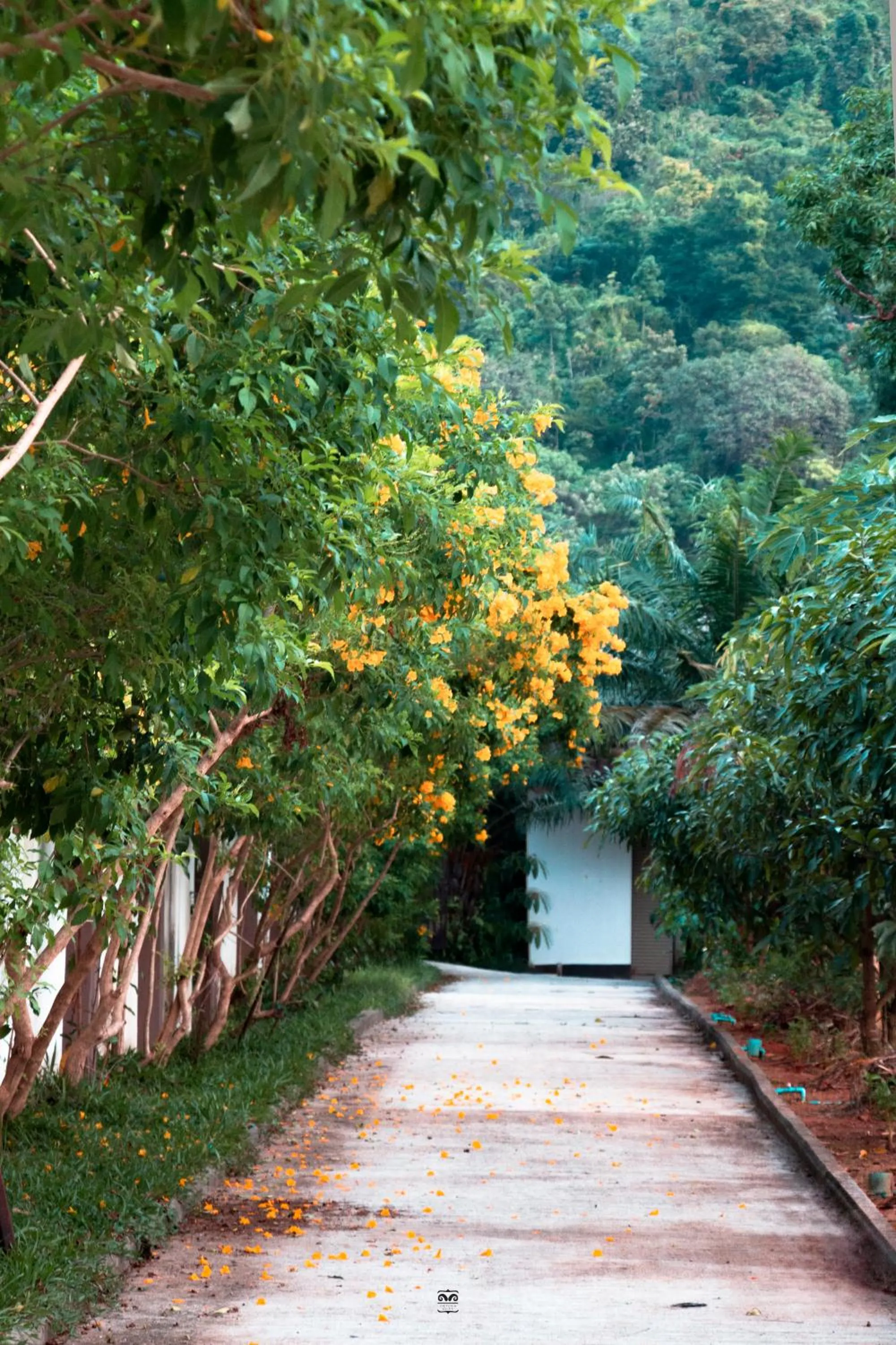 Day in Victoria Cliff Hotel & Resort, Kawthaung