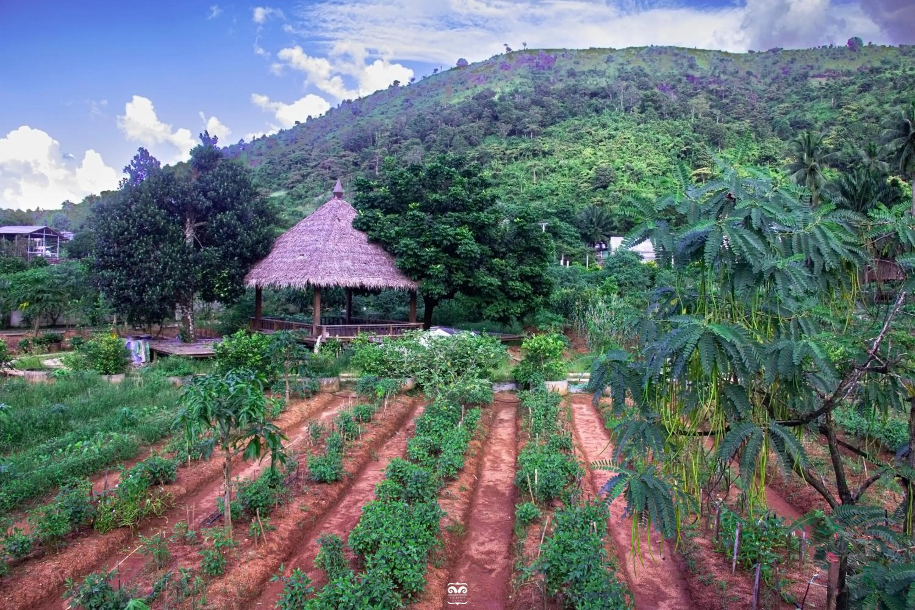 Day in Victoria Cliff Hotel & Resort, Kawthaung