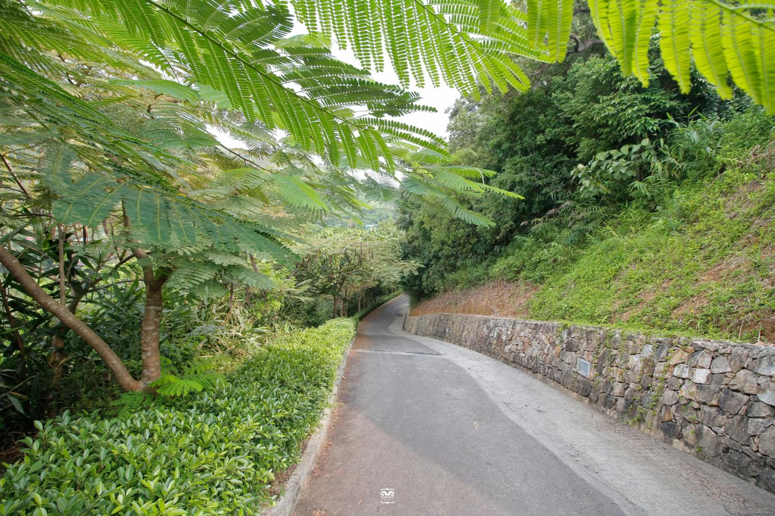 Day in Victoria Cliff Hotel & Resort, Kawthaung