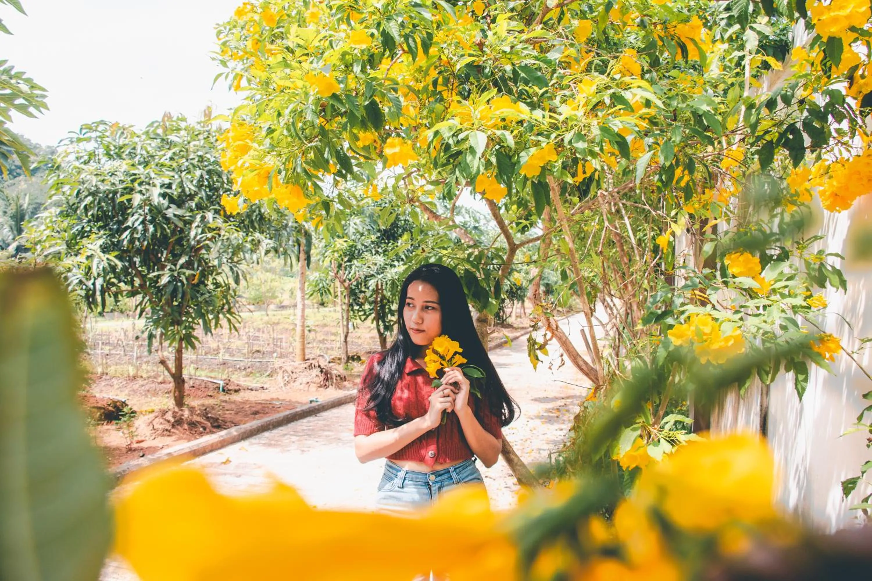 Spring in Victoria Cliff Hotel & Resort, Kawthaung