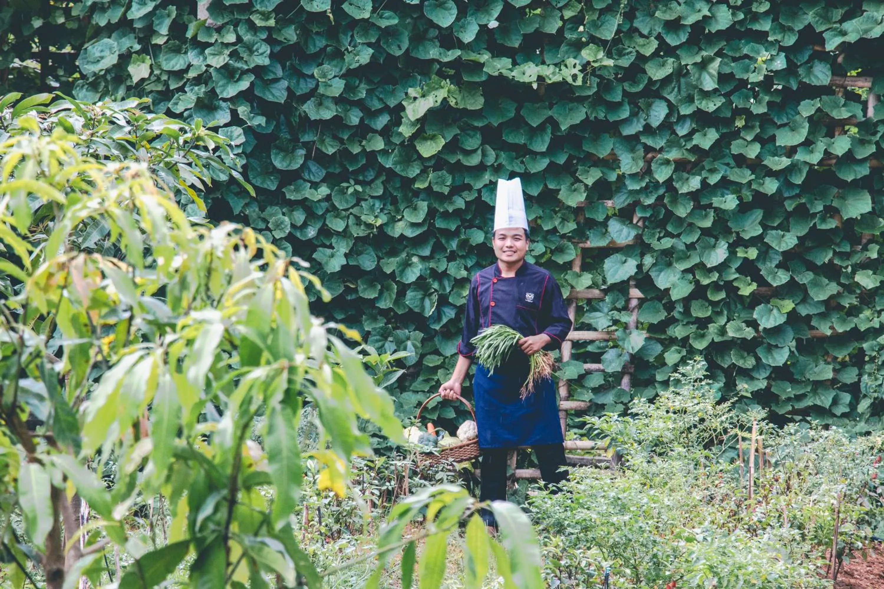 Spring in Victoria Cliff Hotel & Resort, Kawthaung