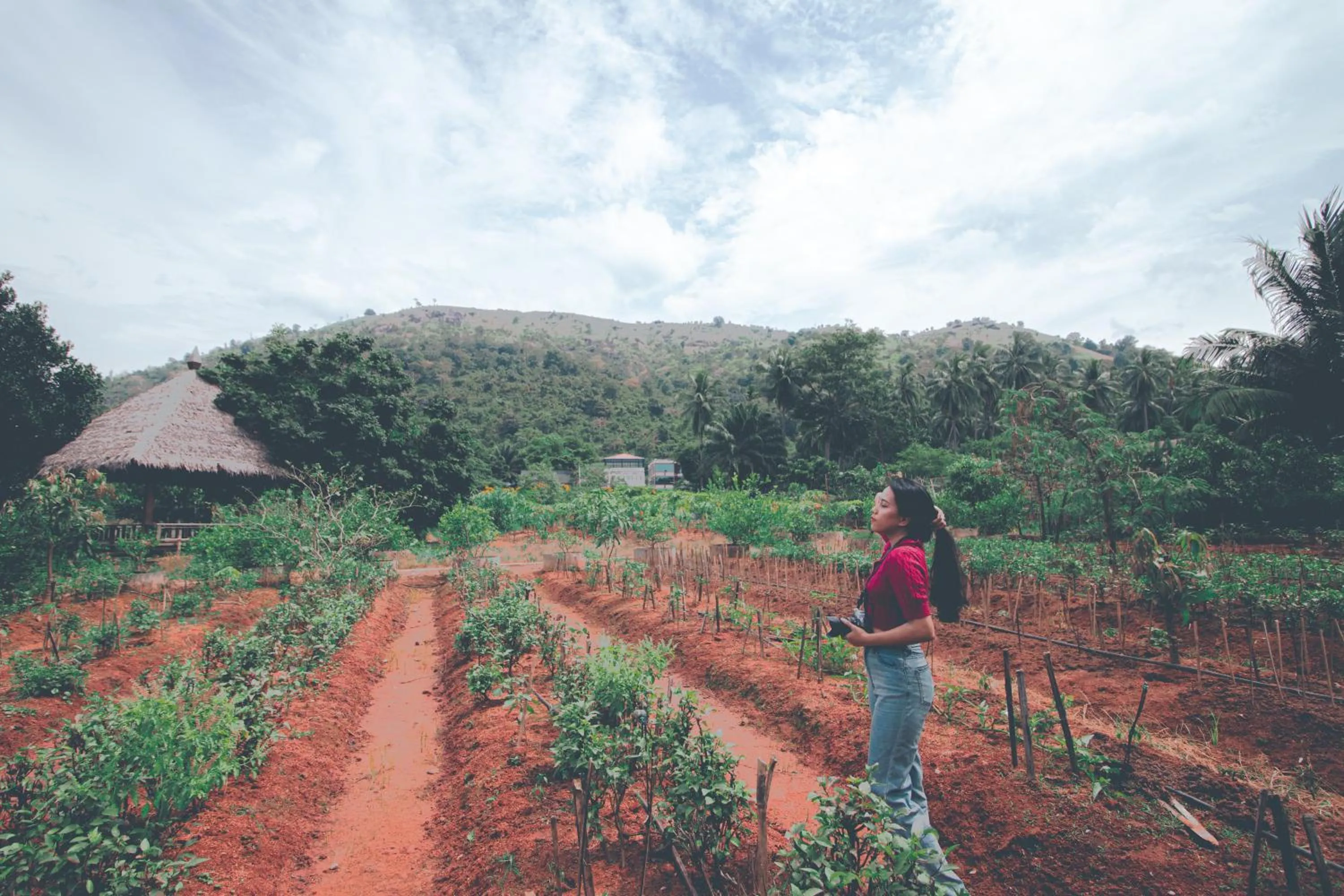 Spring in Victoria Cliff Hotel & Resort, Kawthaung