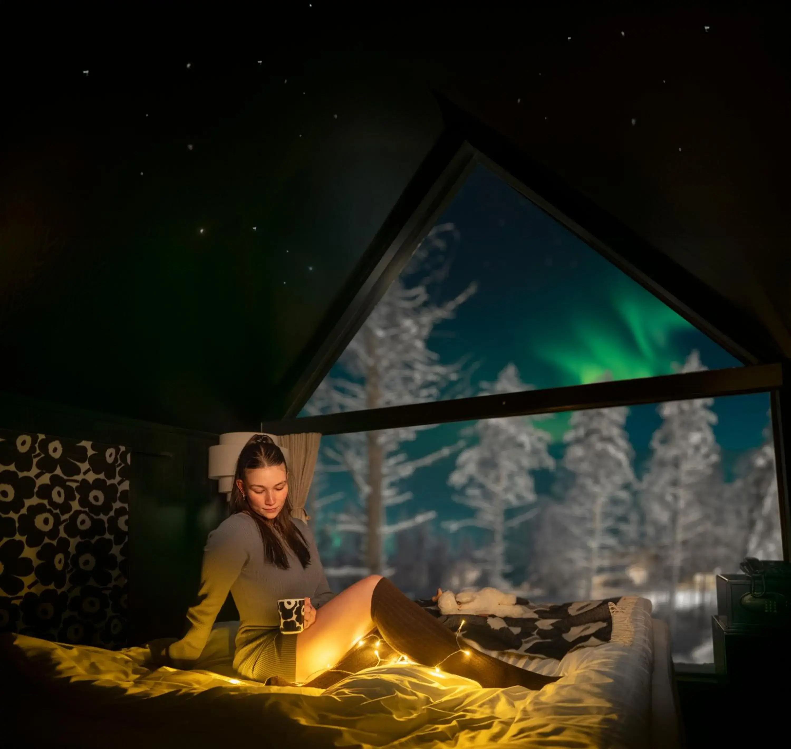 View (from property/room) in Aito Igloo & Spa Resort View (from property/room) in Aito Igloo & Spa Resort